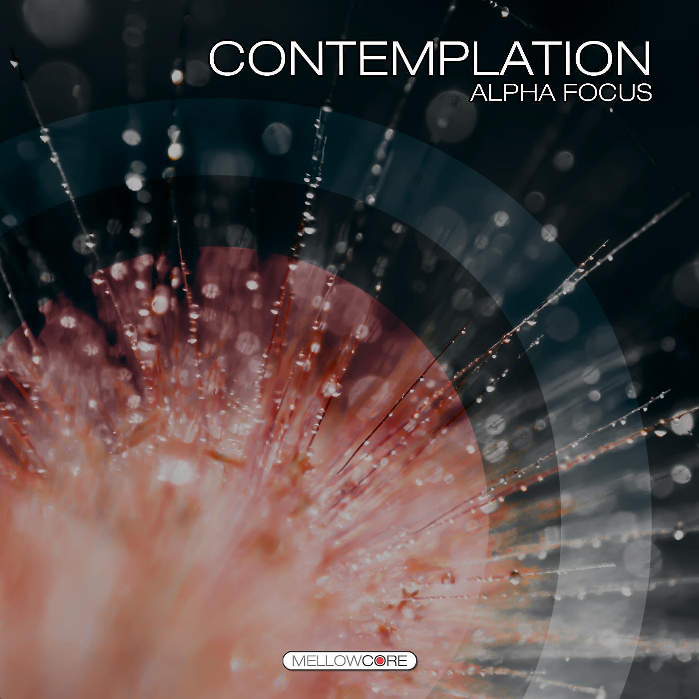Релиз Contemplation (Alpha Focus)