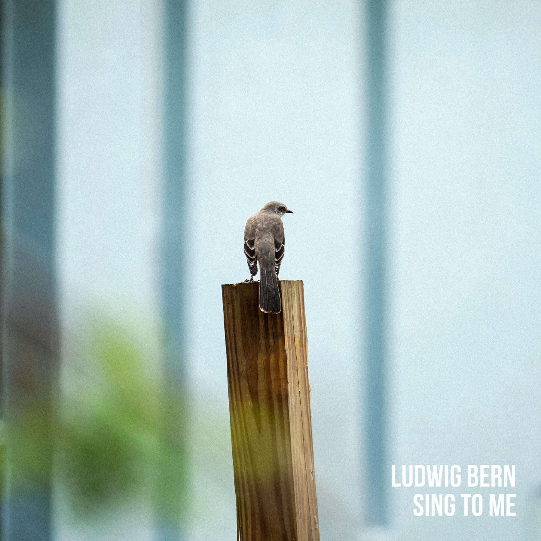 Релиз Sing To Me