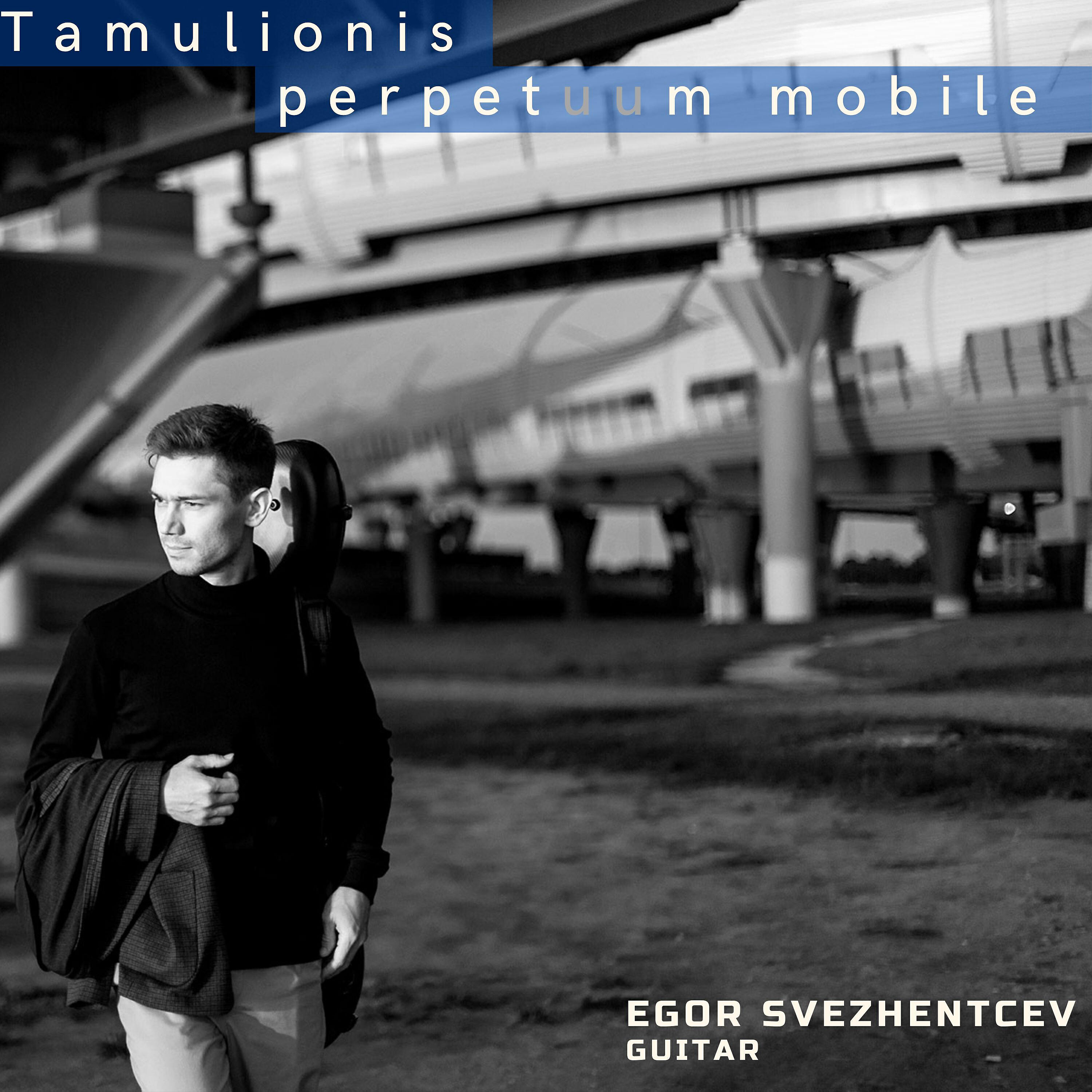 Релиз Tamulionis: Perpetuum Mobile