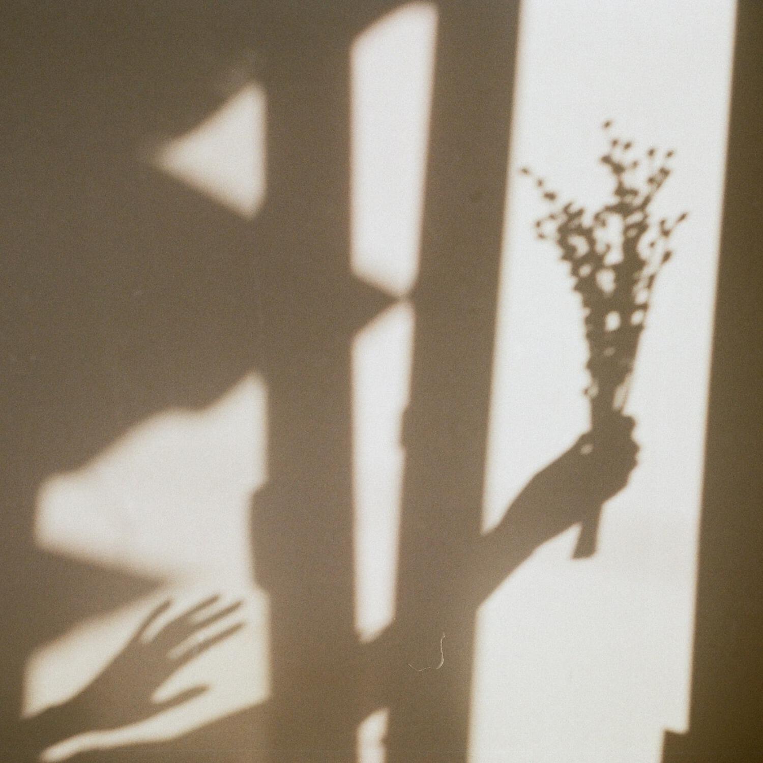 Постер альбома Shadow