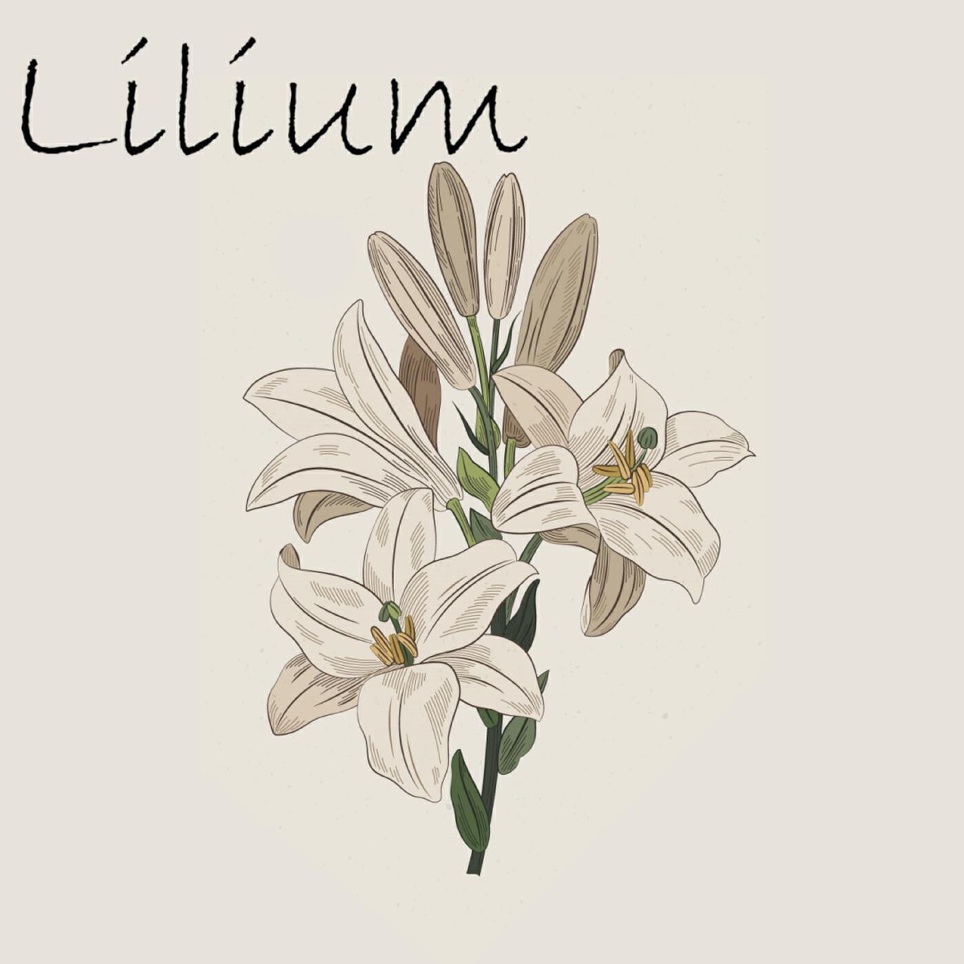 Релиз Lilium