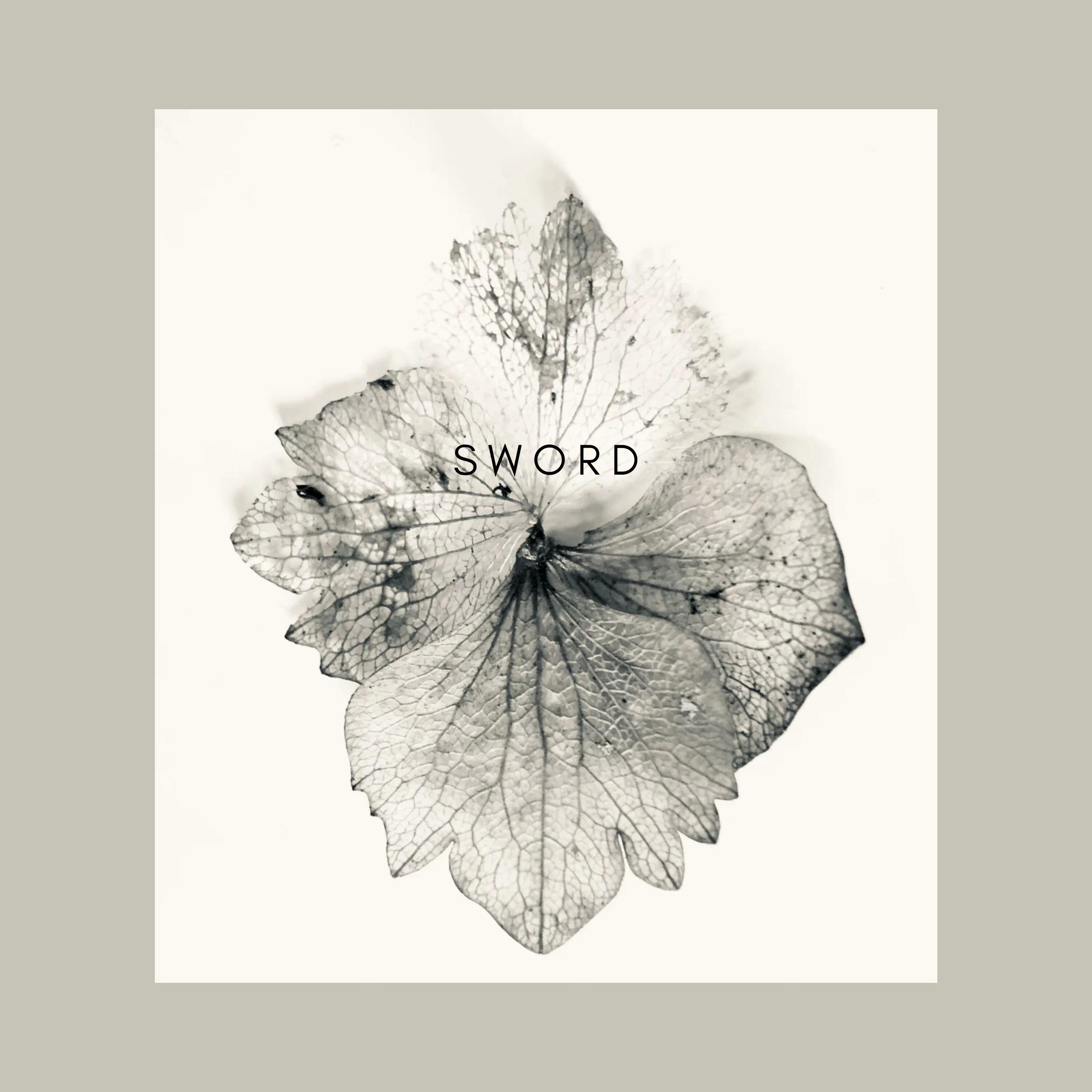 Релиз Sword