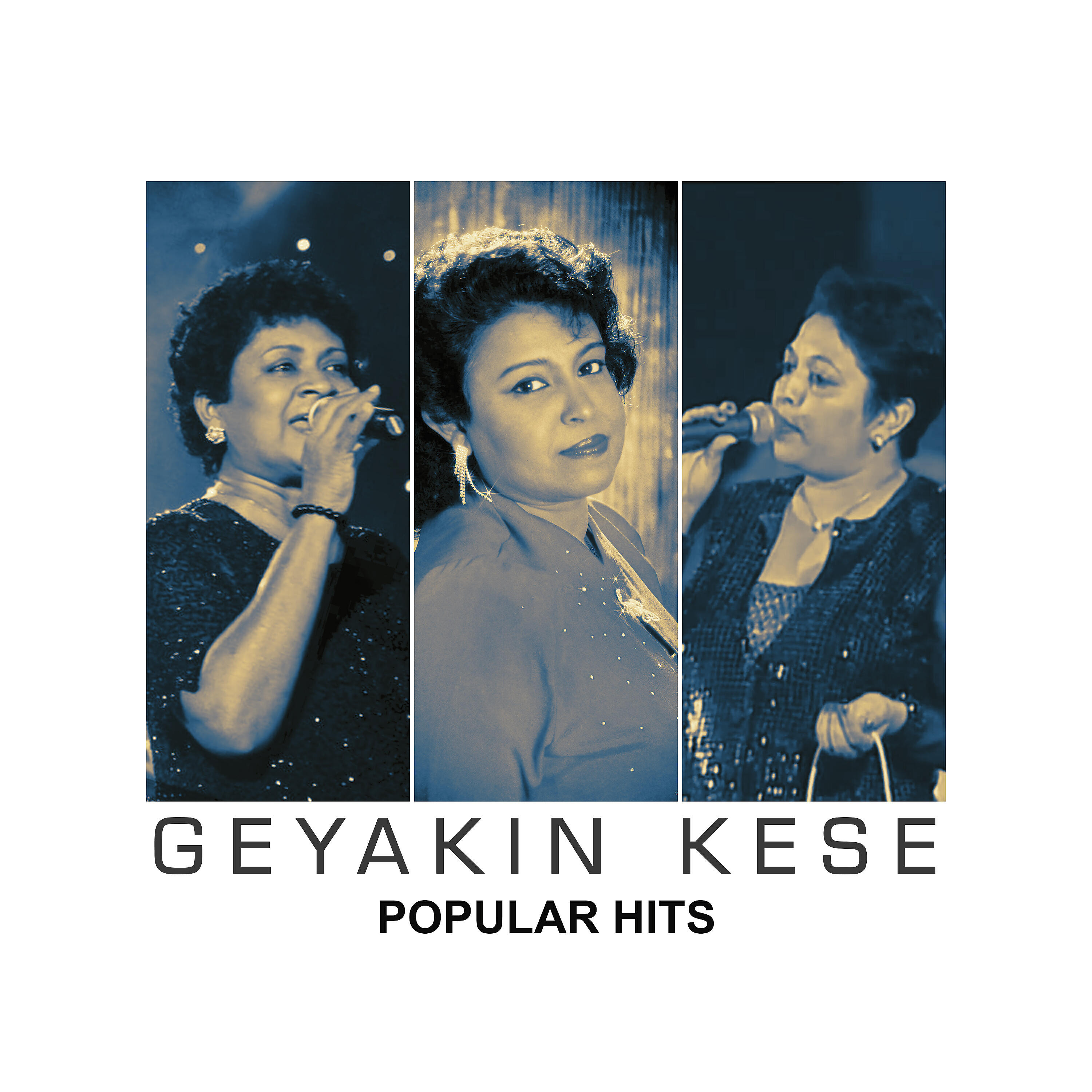 Релиз Geyakin Kese Popular Hits