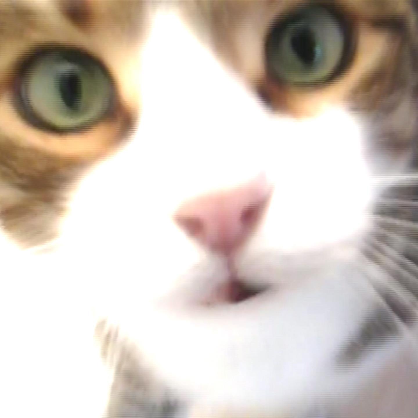 Релиз Alkaline Booster