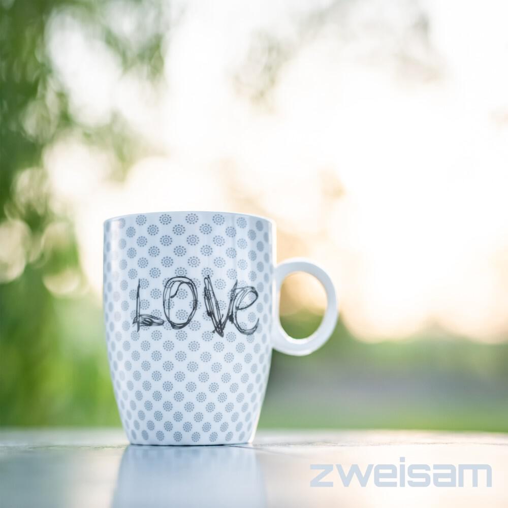 Релиз Zweisam (Unplugged Version)