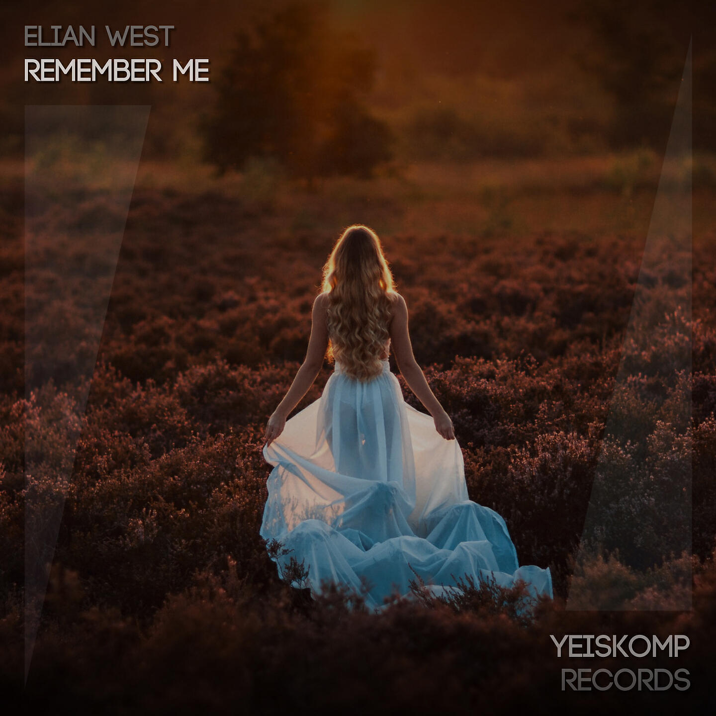 Релиз Remember Me