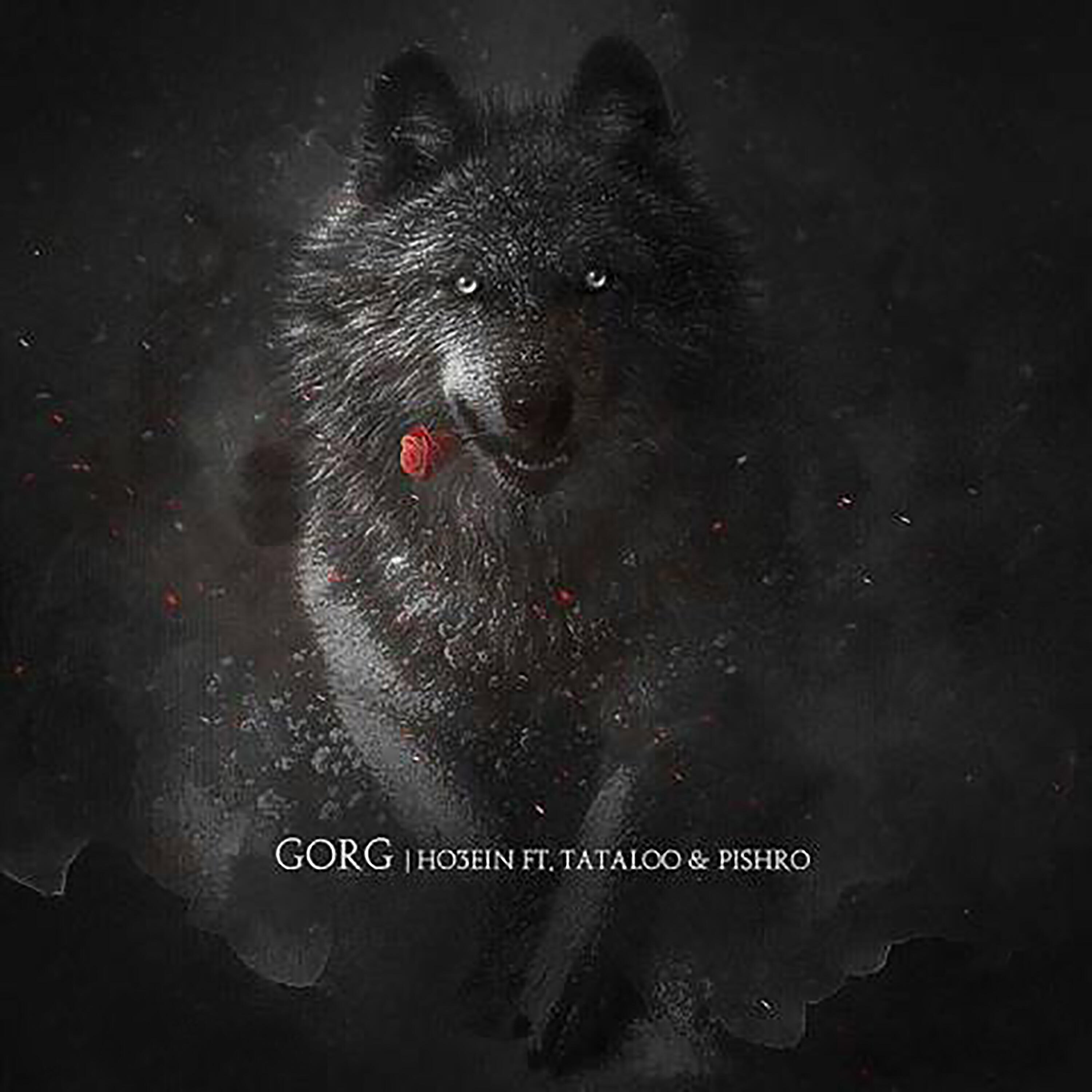 Постер альбома Gorg