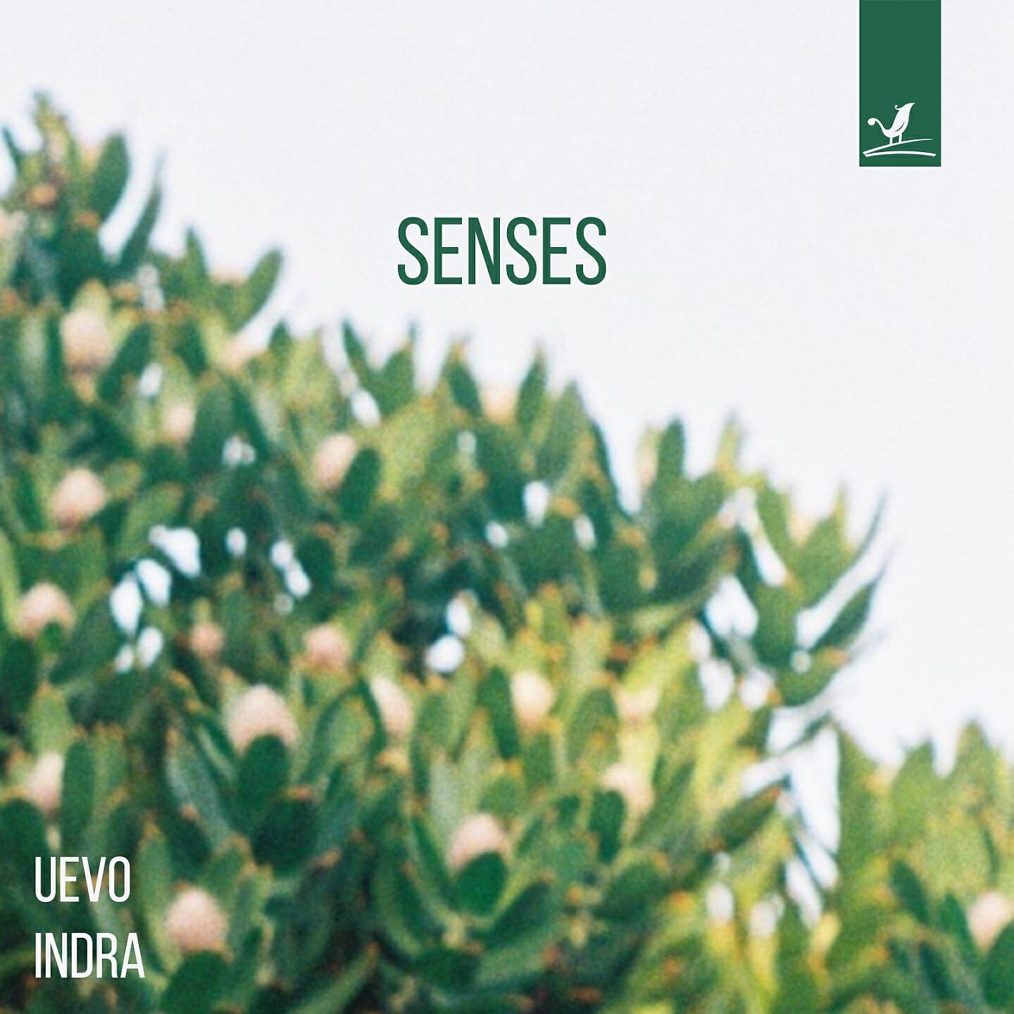 Релиз Senses