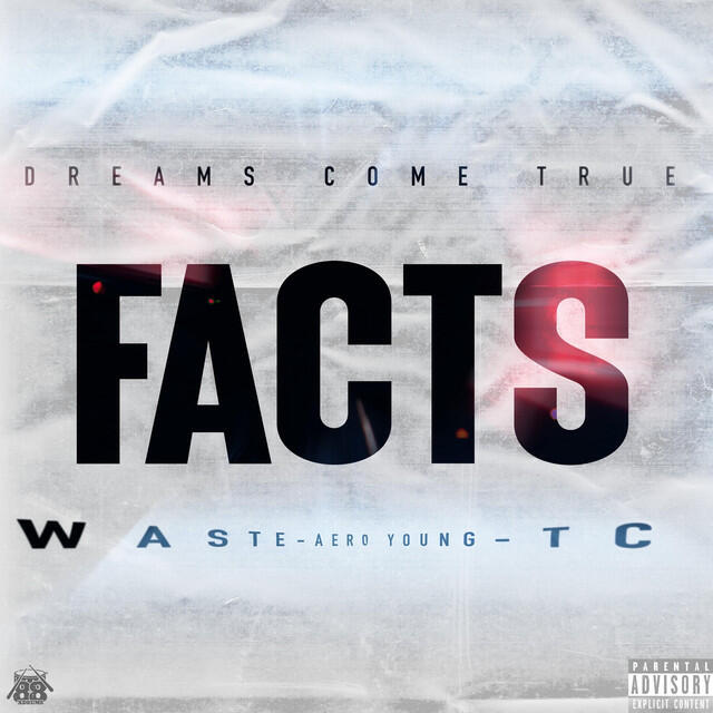 Релиз Facts