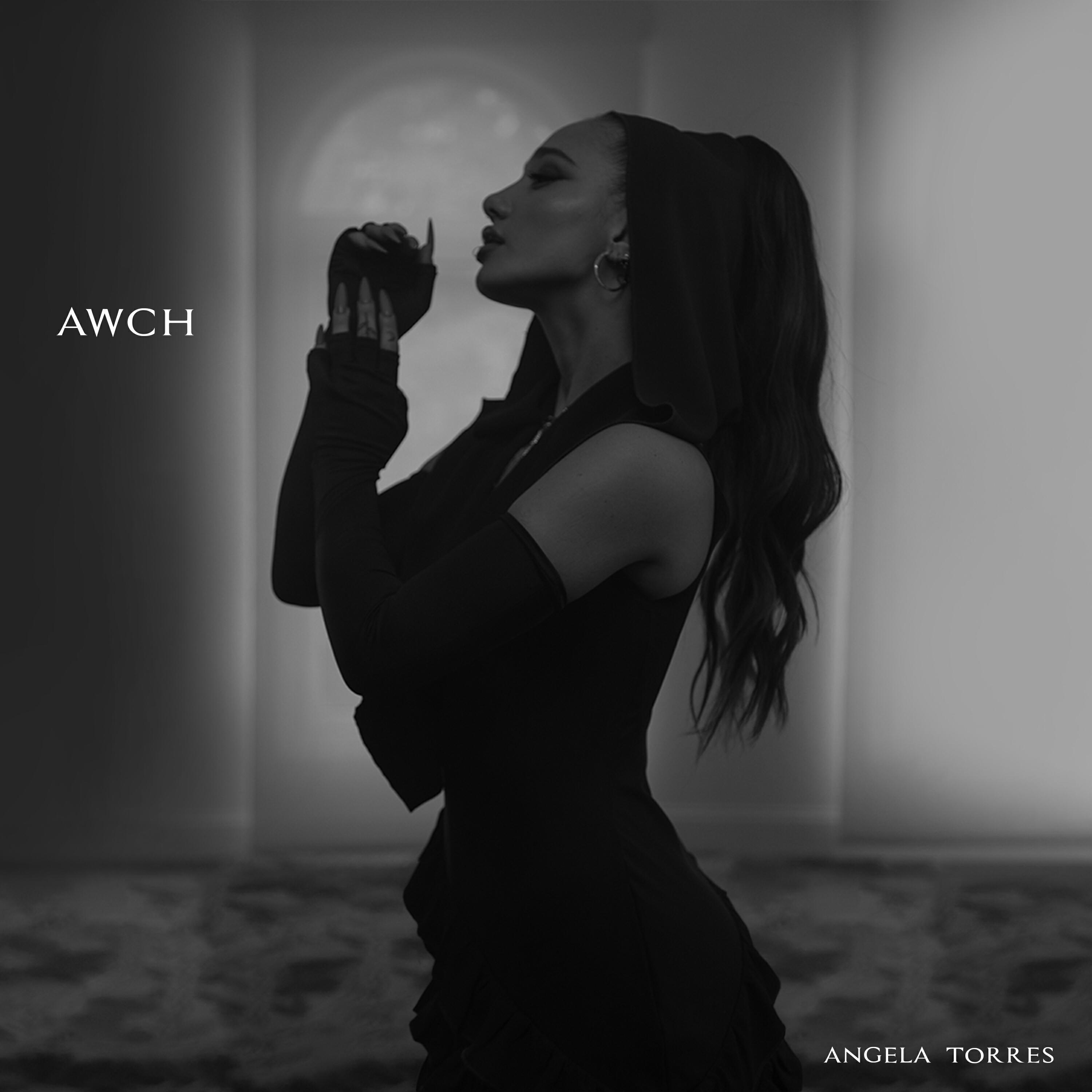 Релиз AWCH