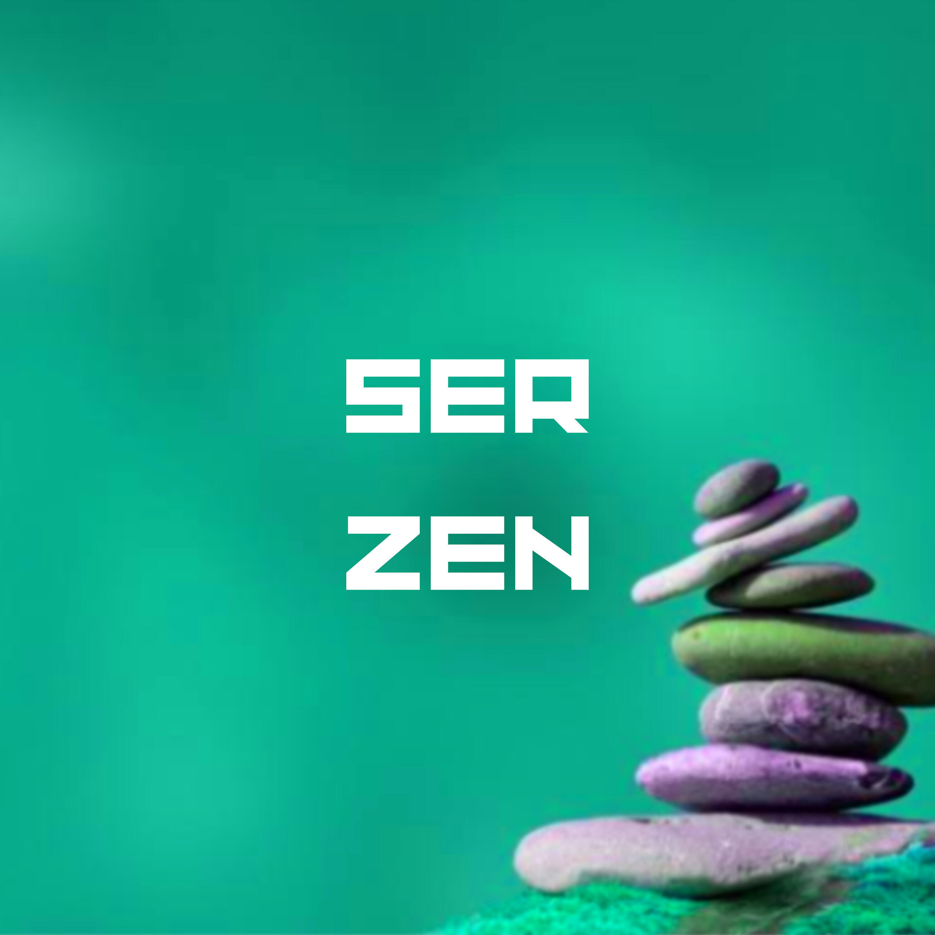 Релиз Ser Zen