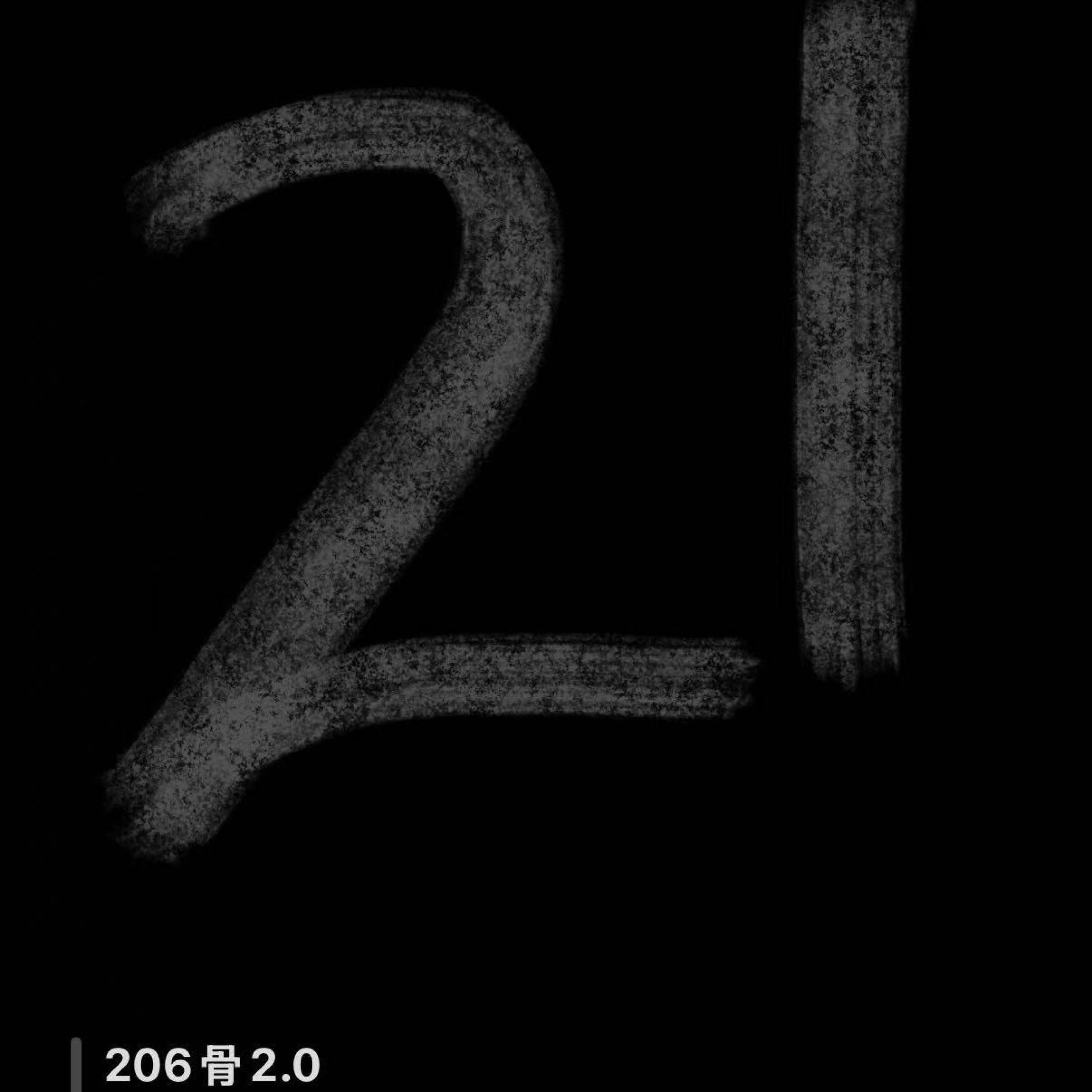 Релиз 二零六骨2
