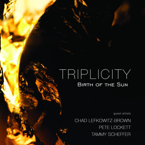 Triplicity
