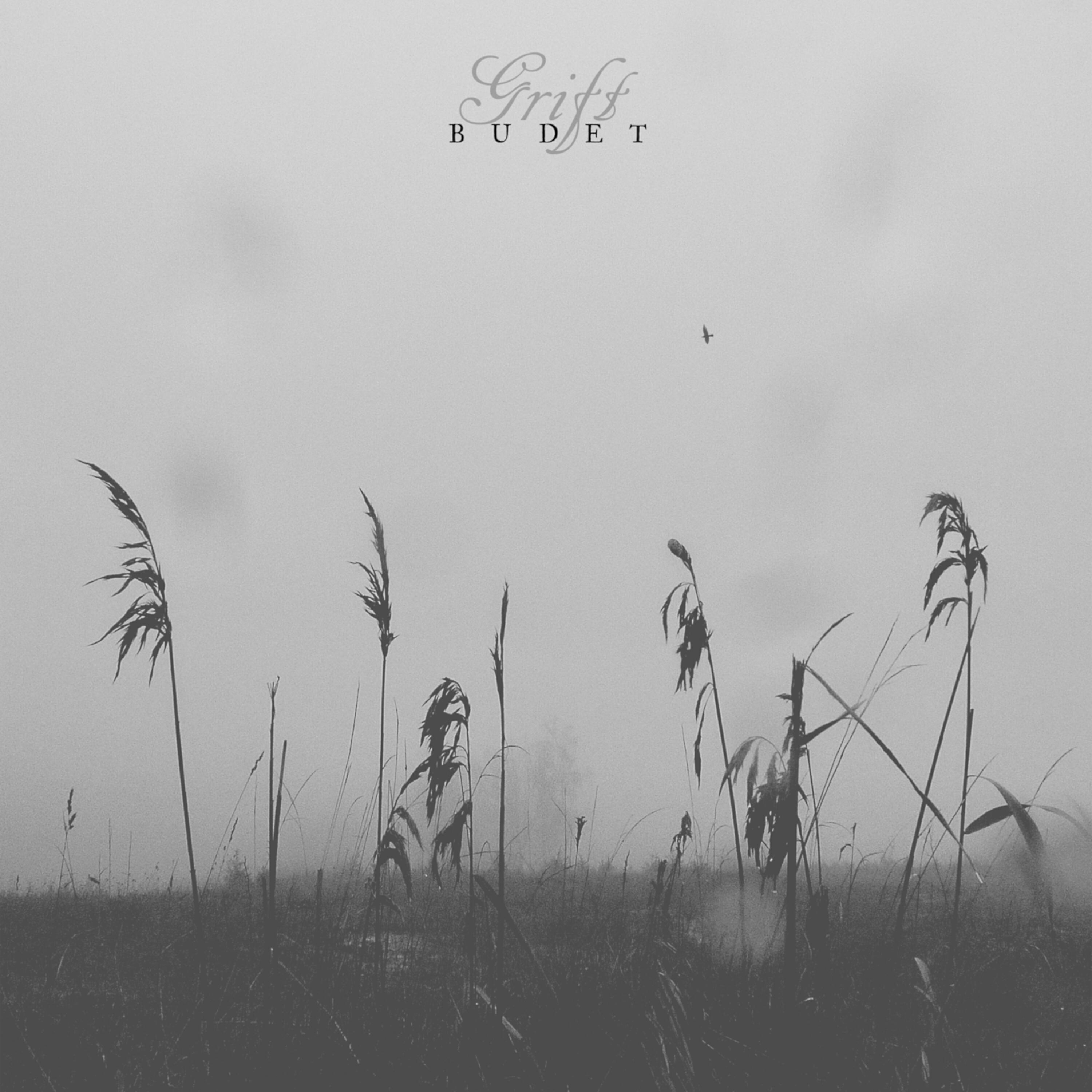 Релиз Budet