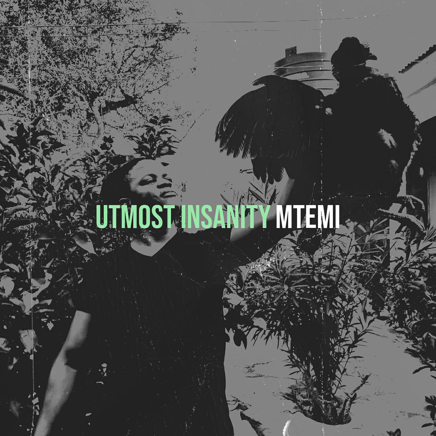 Релиз Utmost Insanity