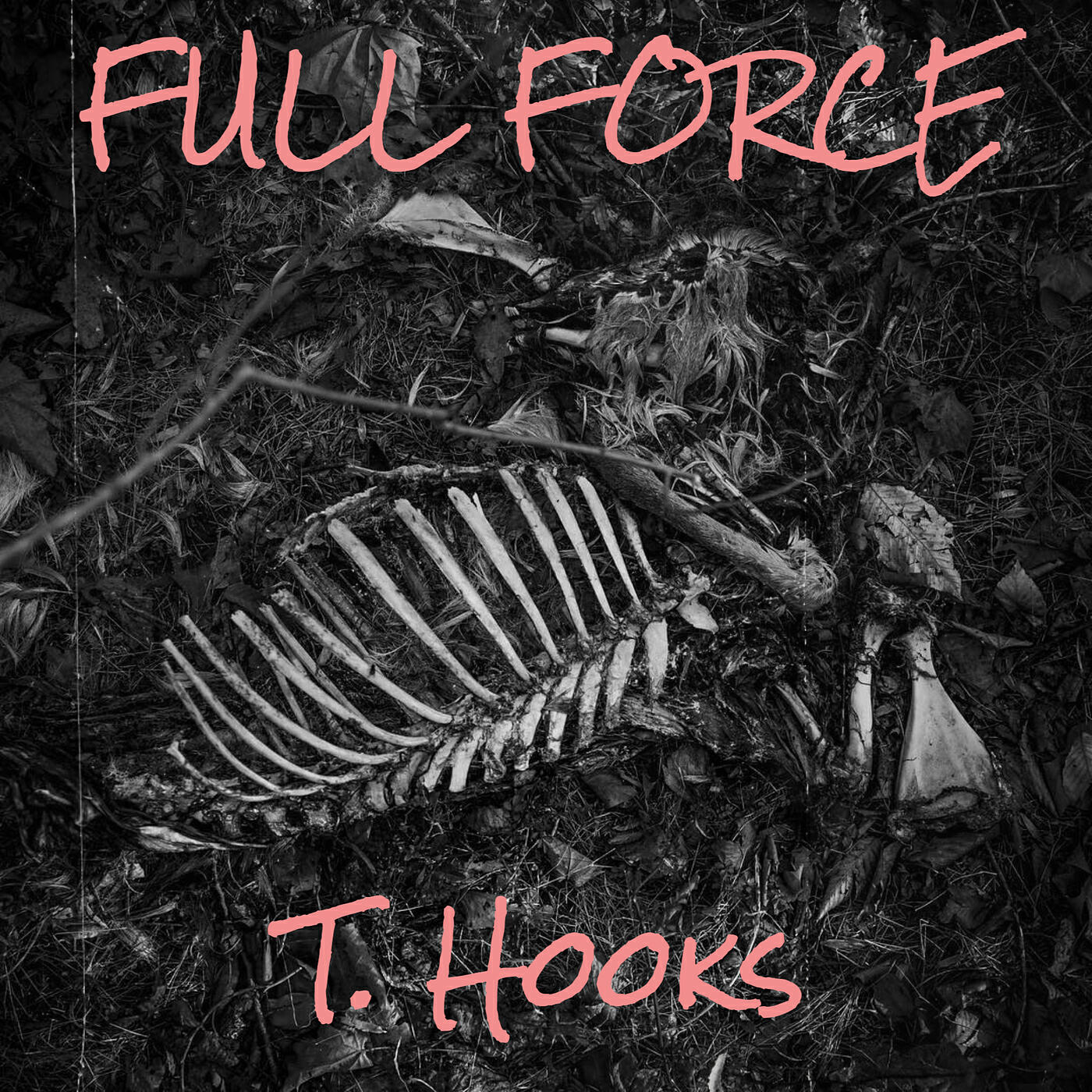 Релиз Full Force