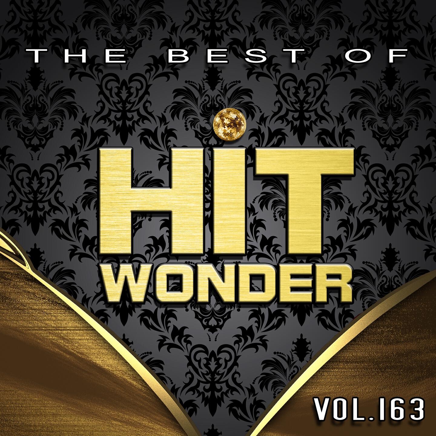 Постер альбома Hit Wonder: The Best of, Vol. 163
