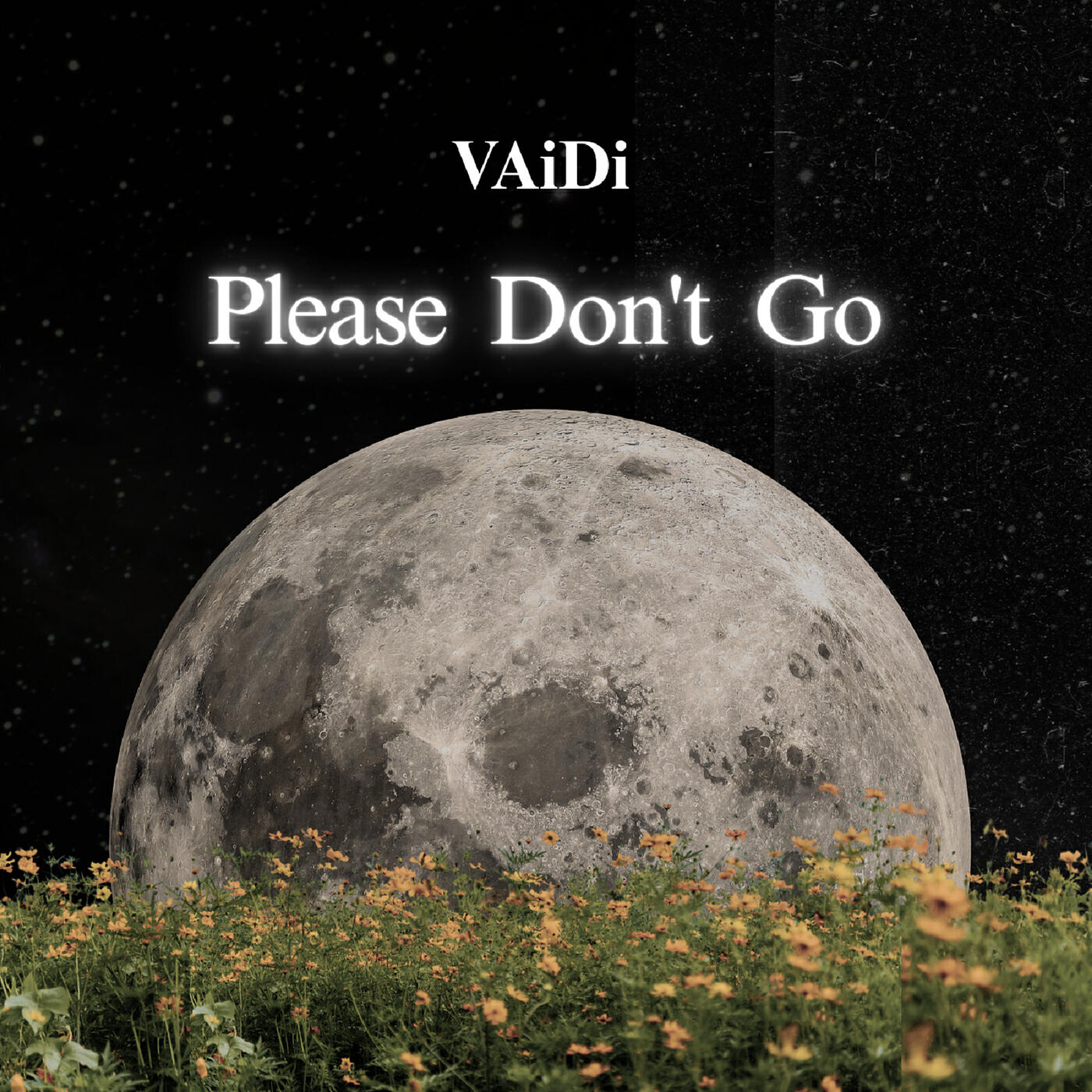 Релиз Please Don't Go