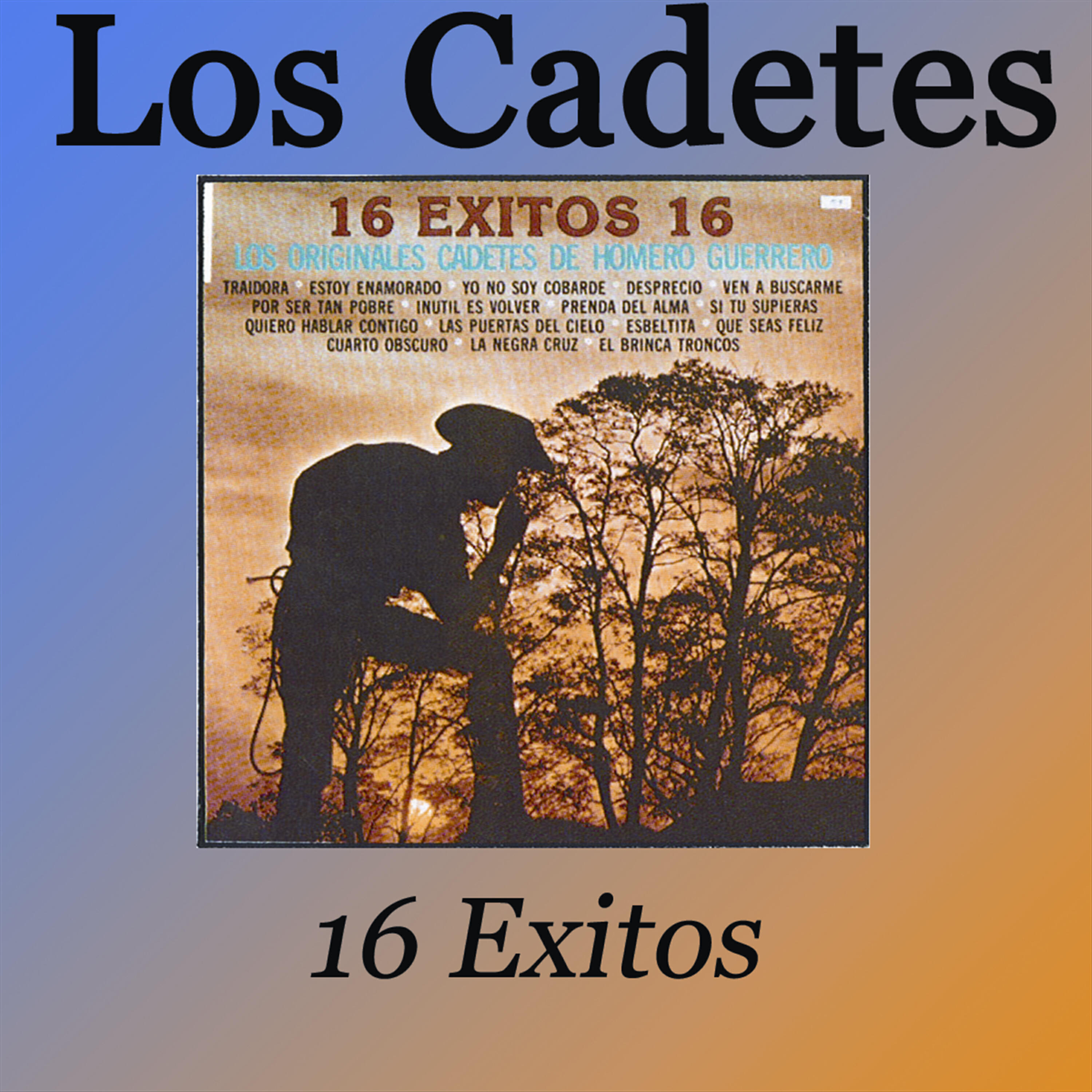 Релиз 16 Exitos