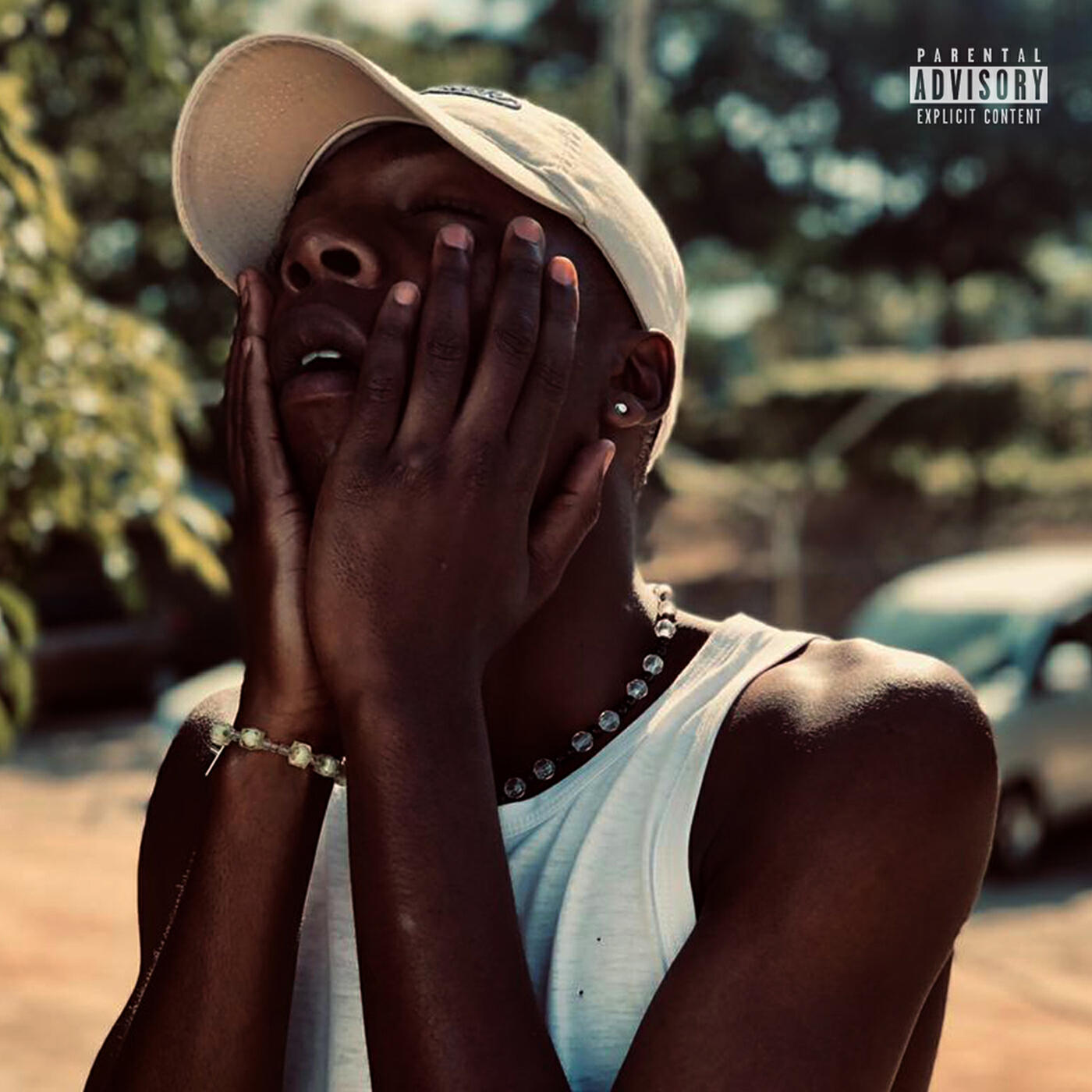 Релиз Hidden Smiles and Fears