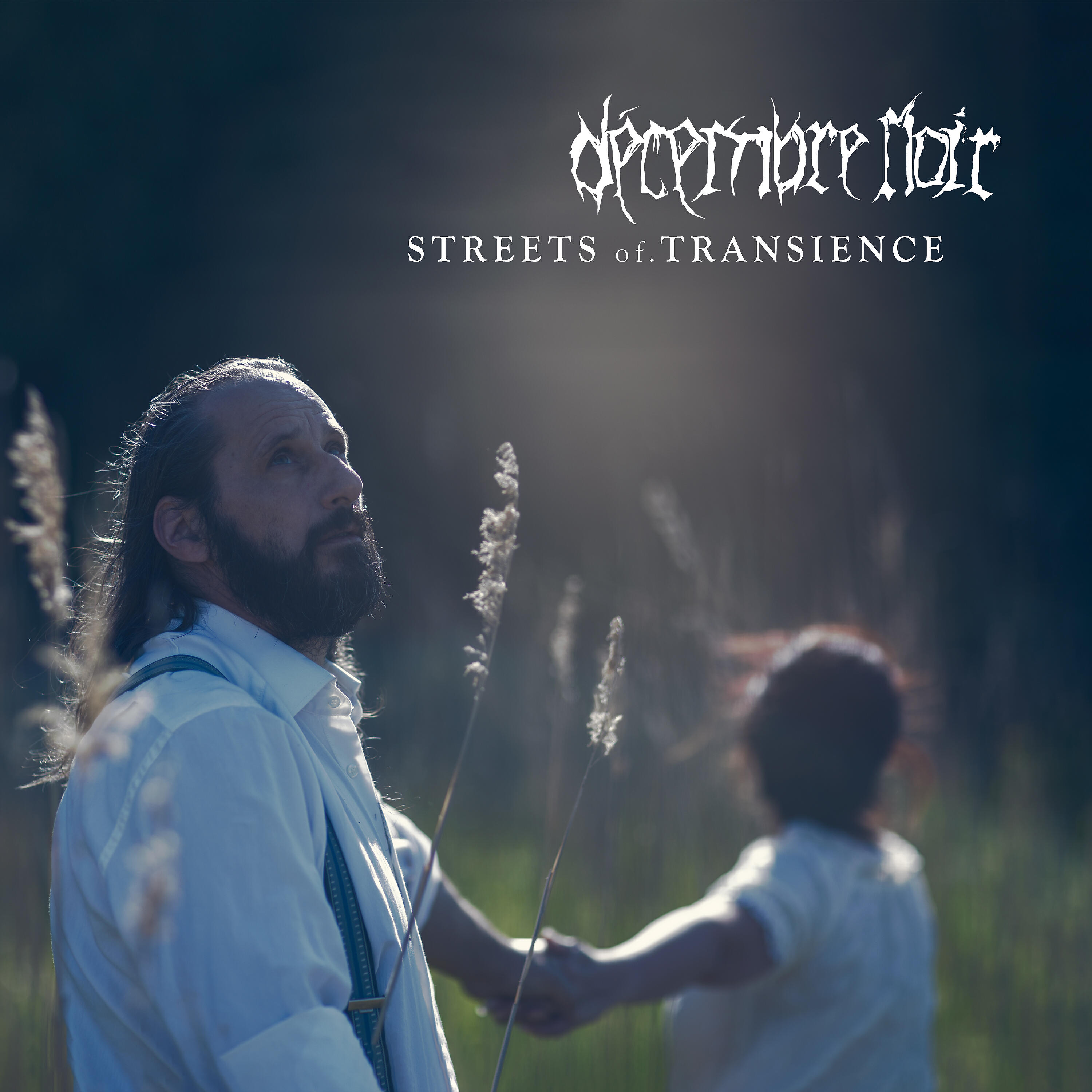 Постер альбома Streets of Transience