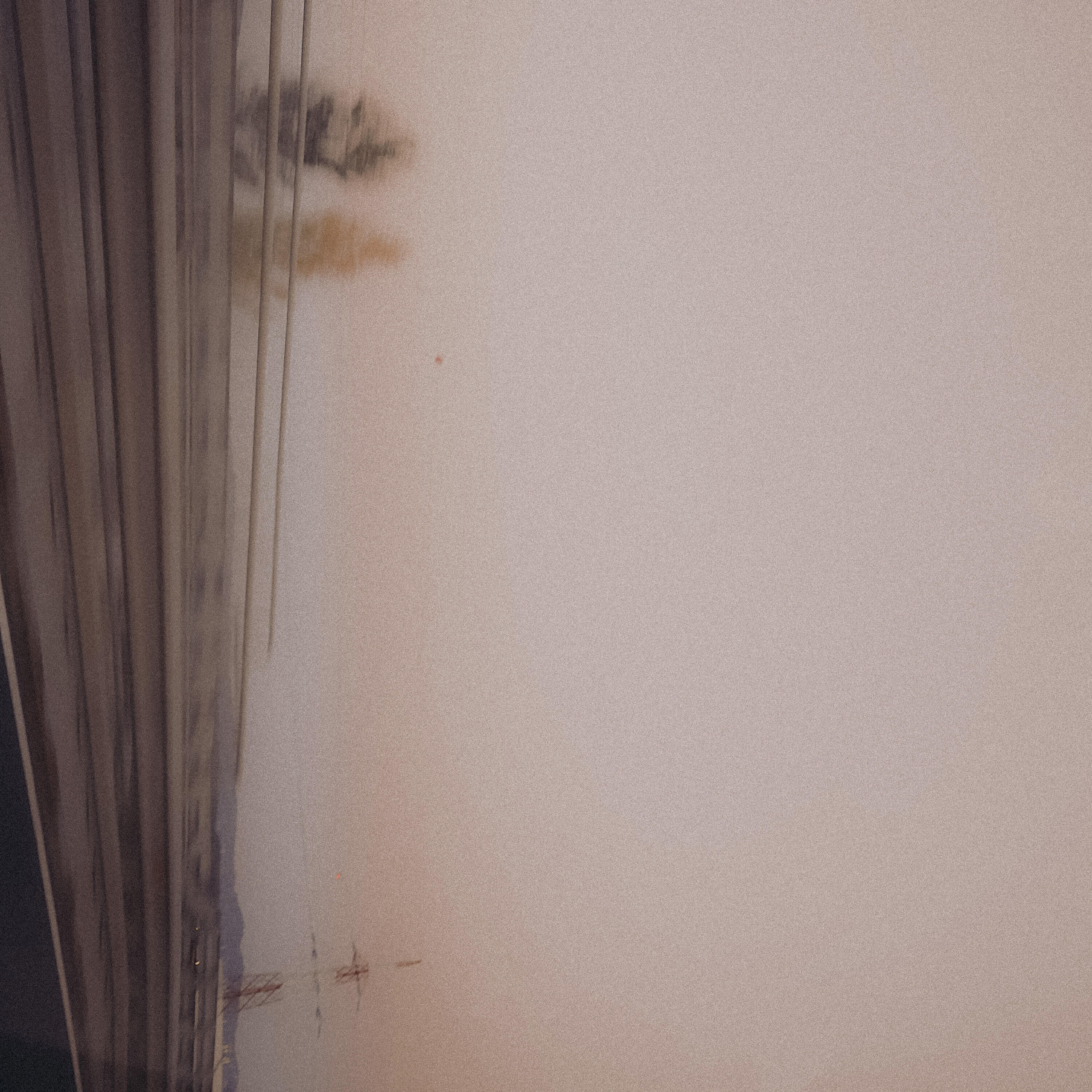Релиз momentary