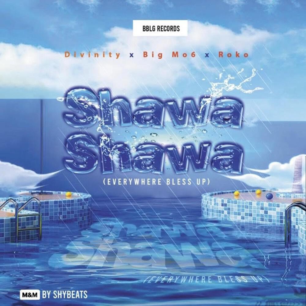 Релиз Shawa Shawa