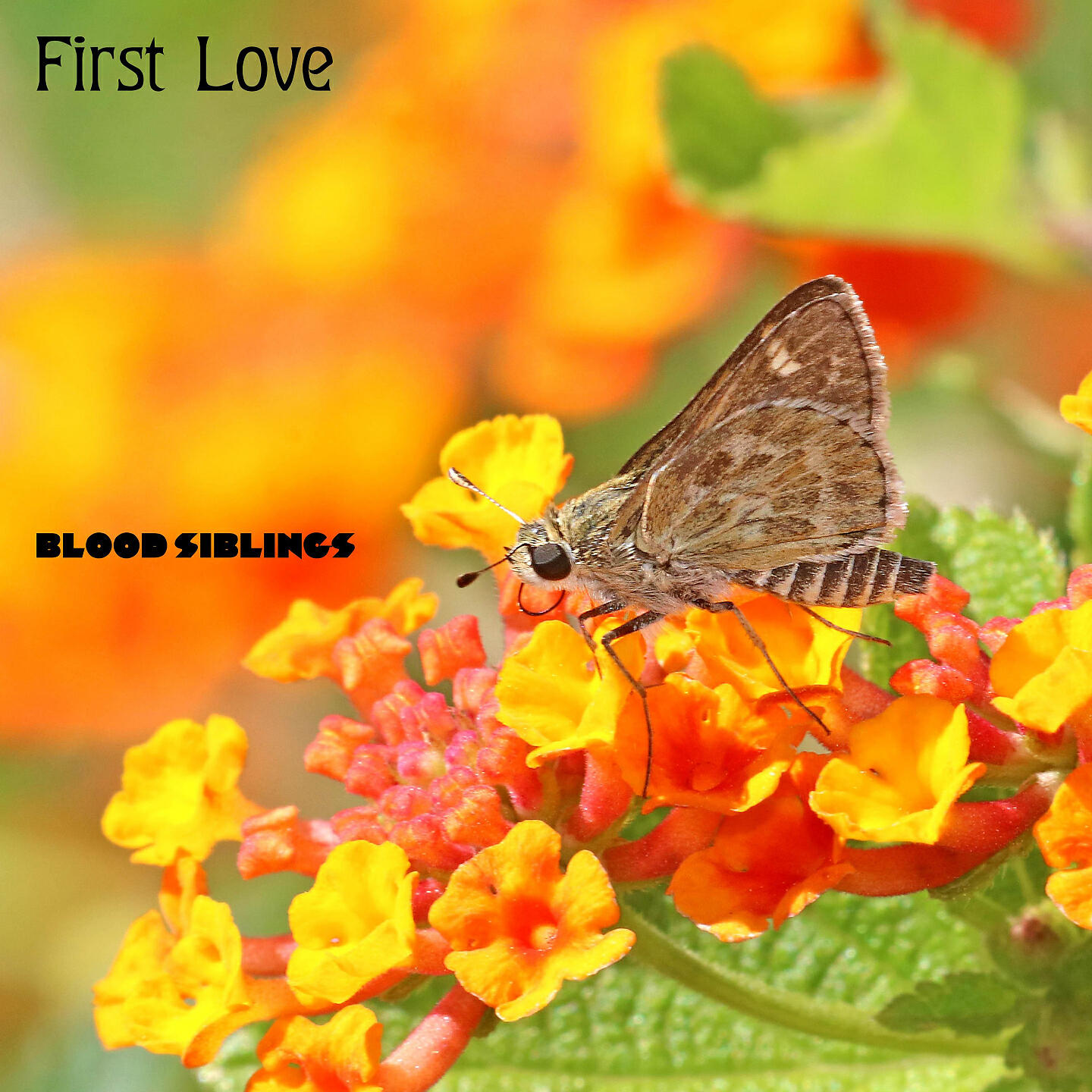 Релиз First Love