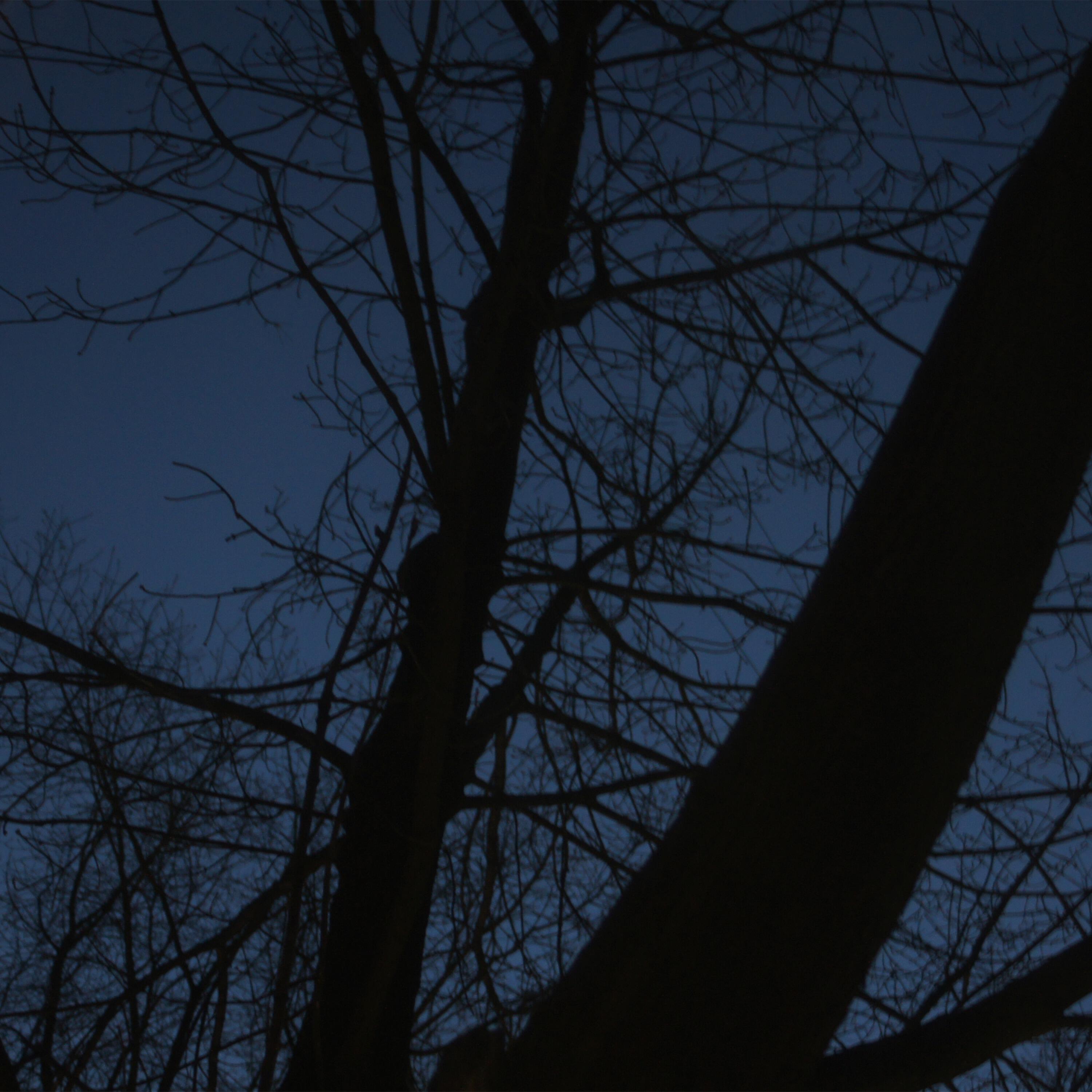 Релиз sleeplessness