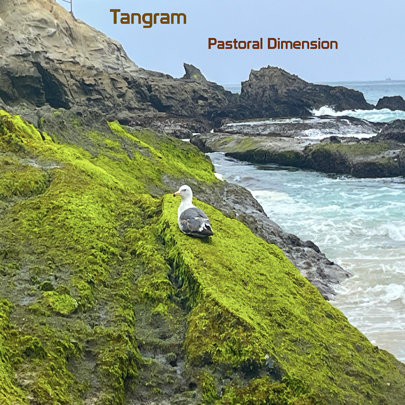 Релиз Pastoral Dimension (2026 Remastered)