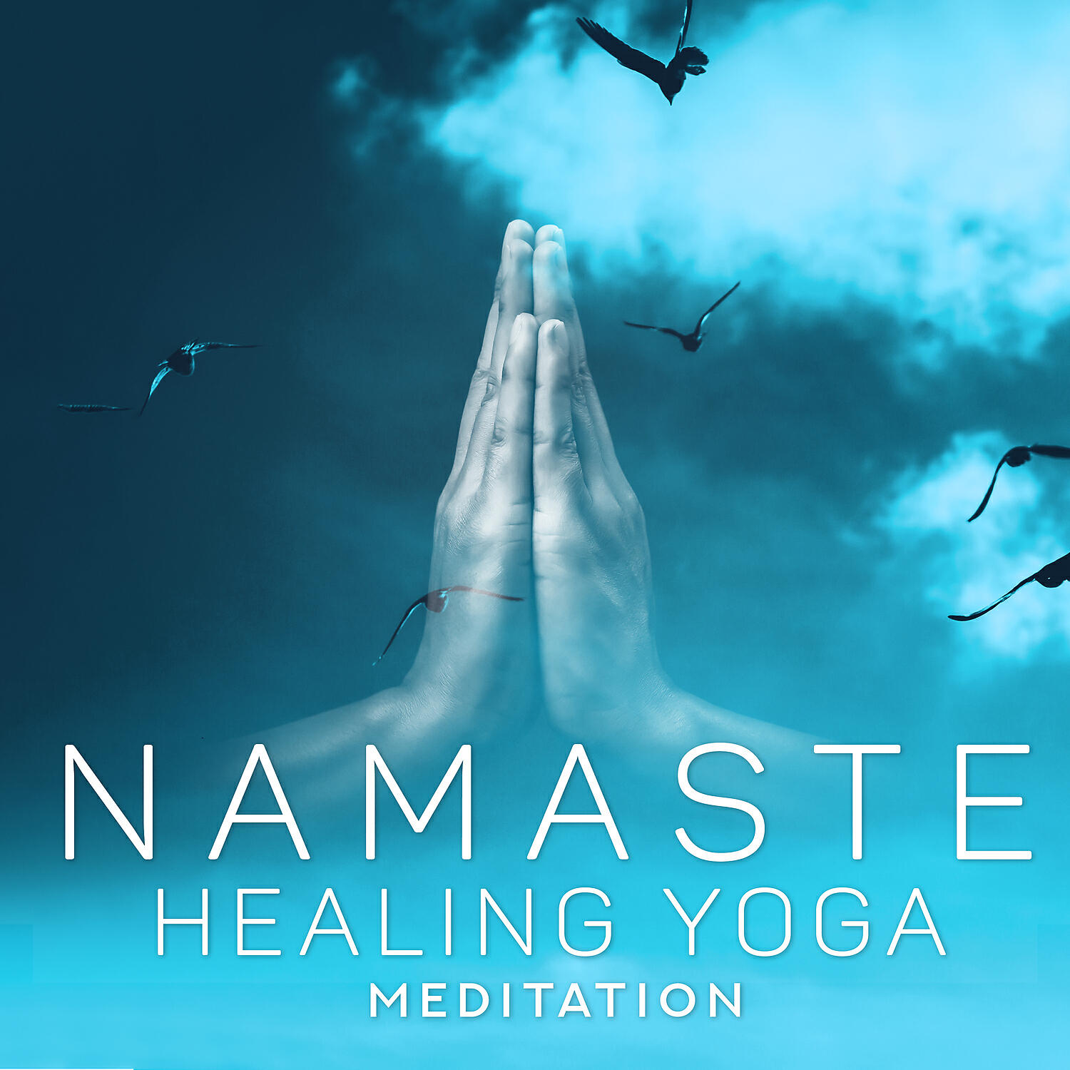 Релиз Namaste Healing Yoga - Meditation & Yoga for Flexibility and Balance for Beginners (Relaxing Instrumental Music)