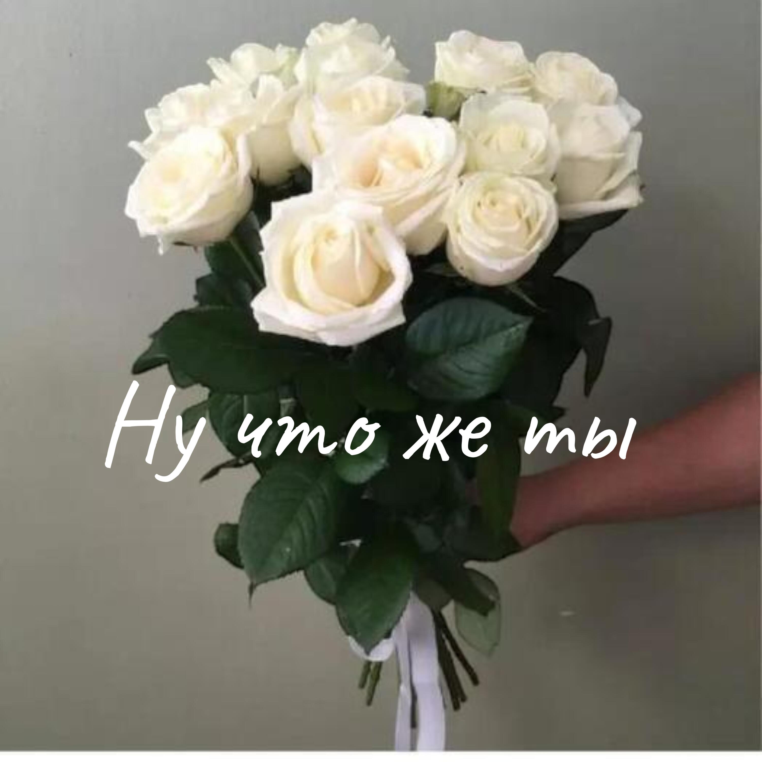 Релиз Ну что же ты