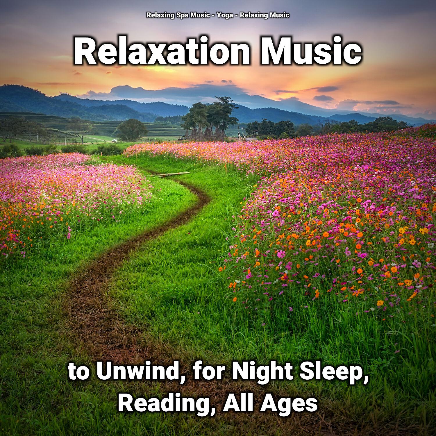 Постер альбома Relaxation Music to Unwind, for Night Sleep, Reading, All Ages