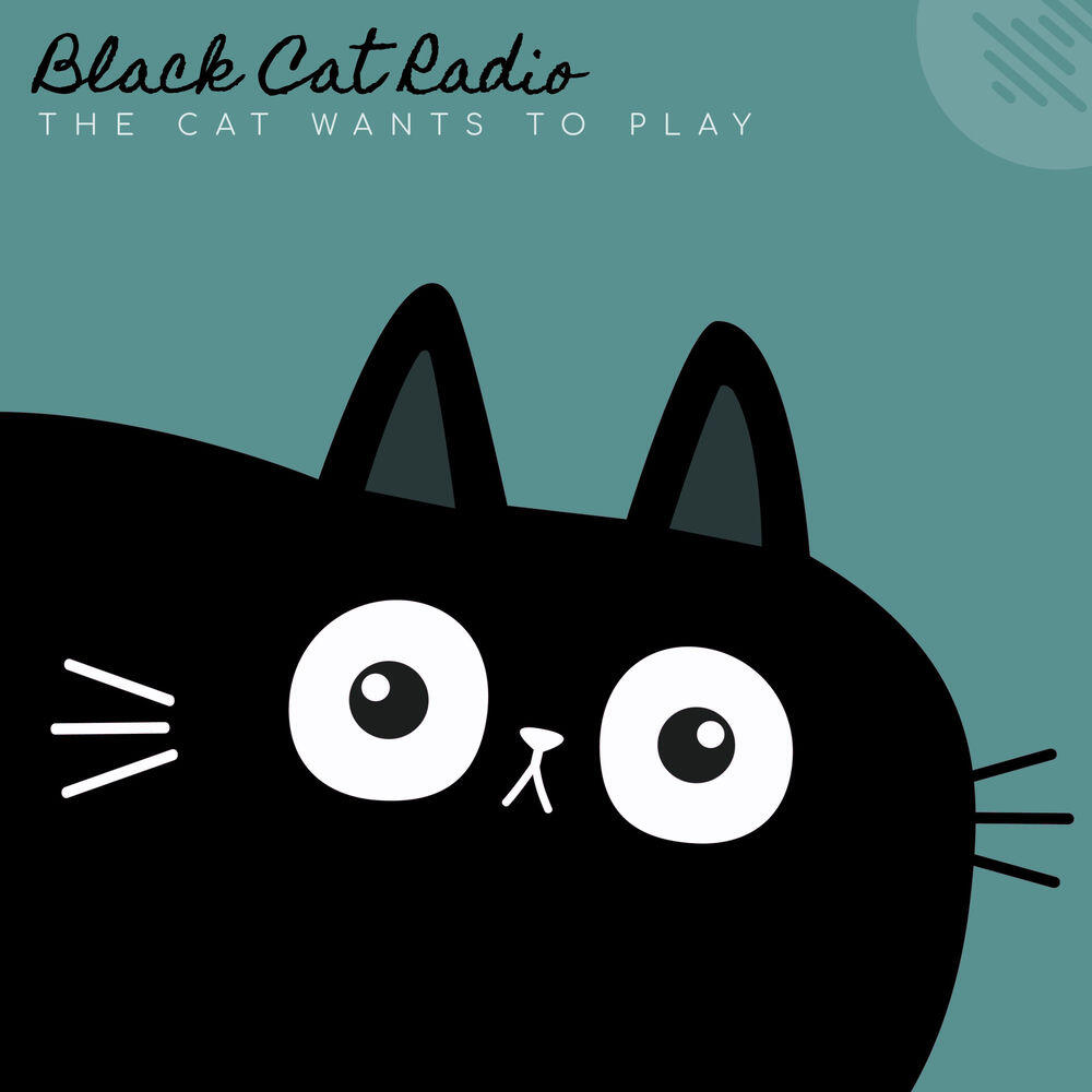 Релиз The Cat Wants to Play