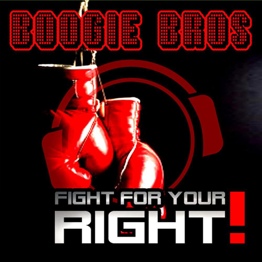 Релиз Fight for Your Right (Electro Bundle)