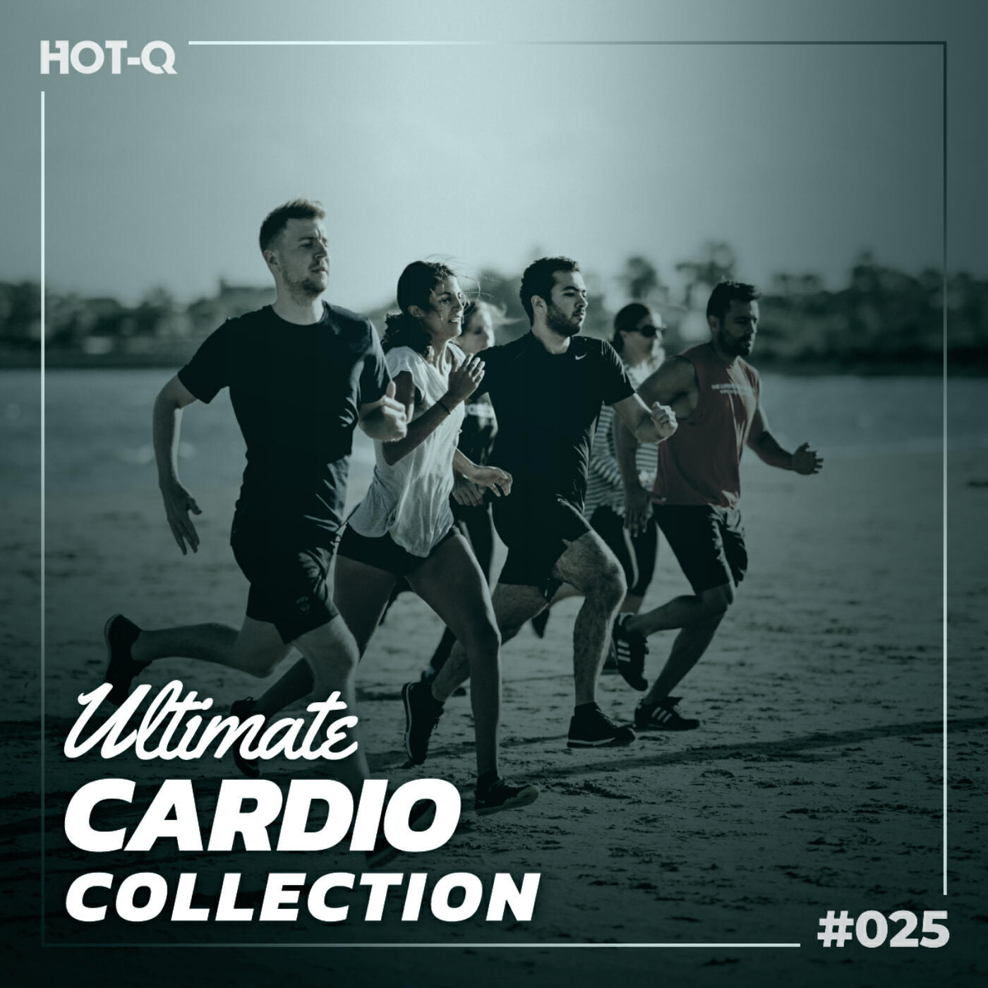 Релиз Ultimate Cardio Collection 025