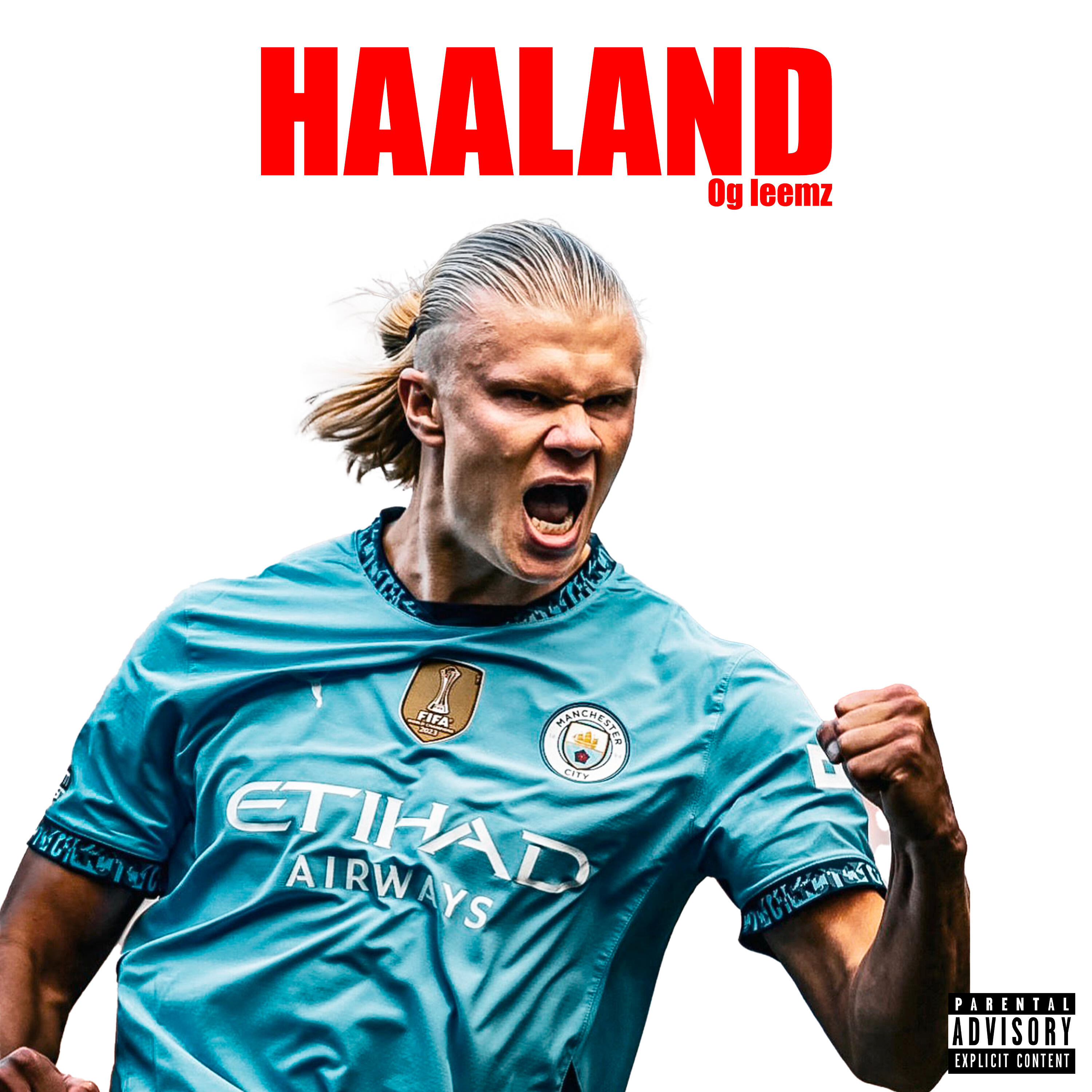 Релиз Haaland