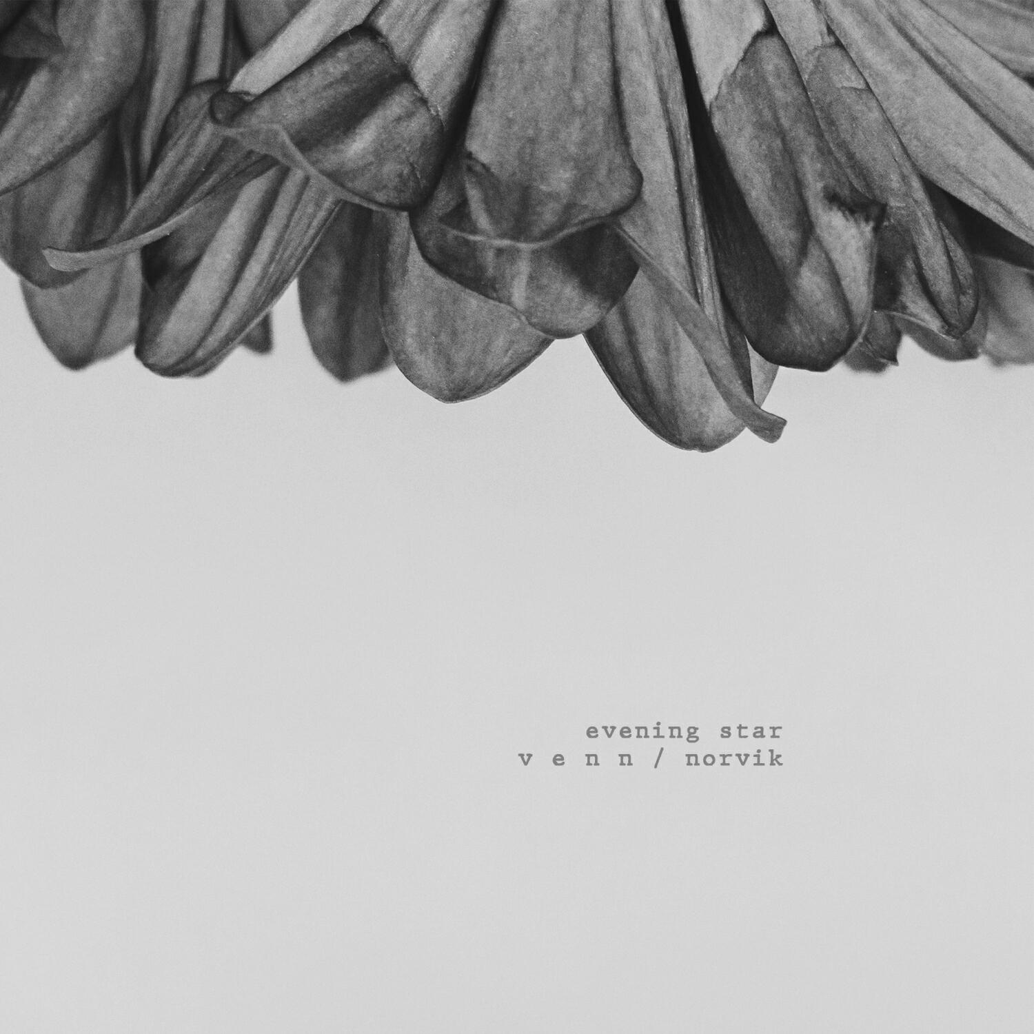 Релиз Evening Star