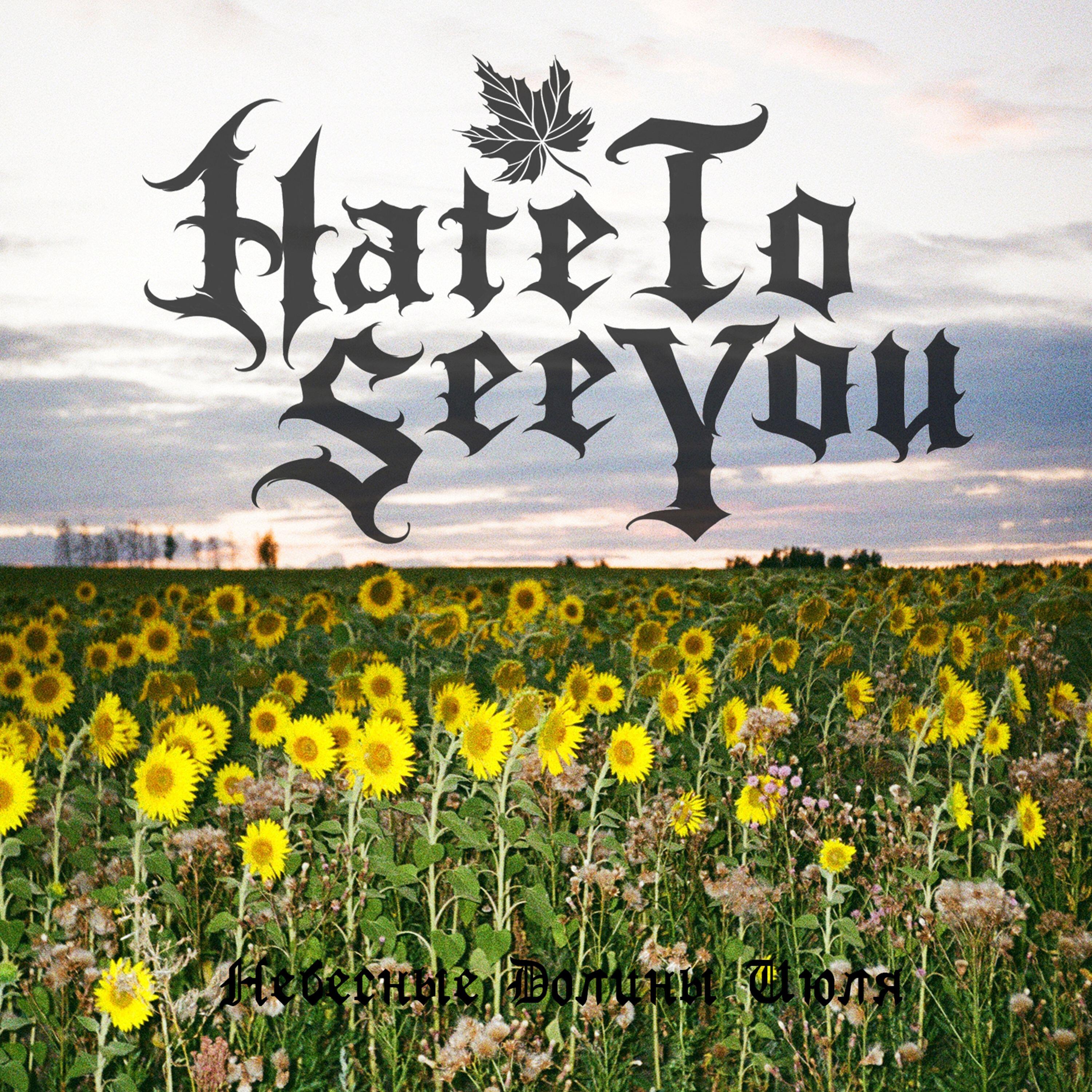 Hate To See You