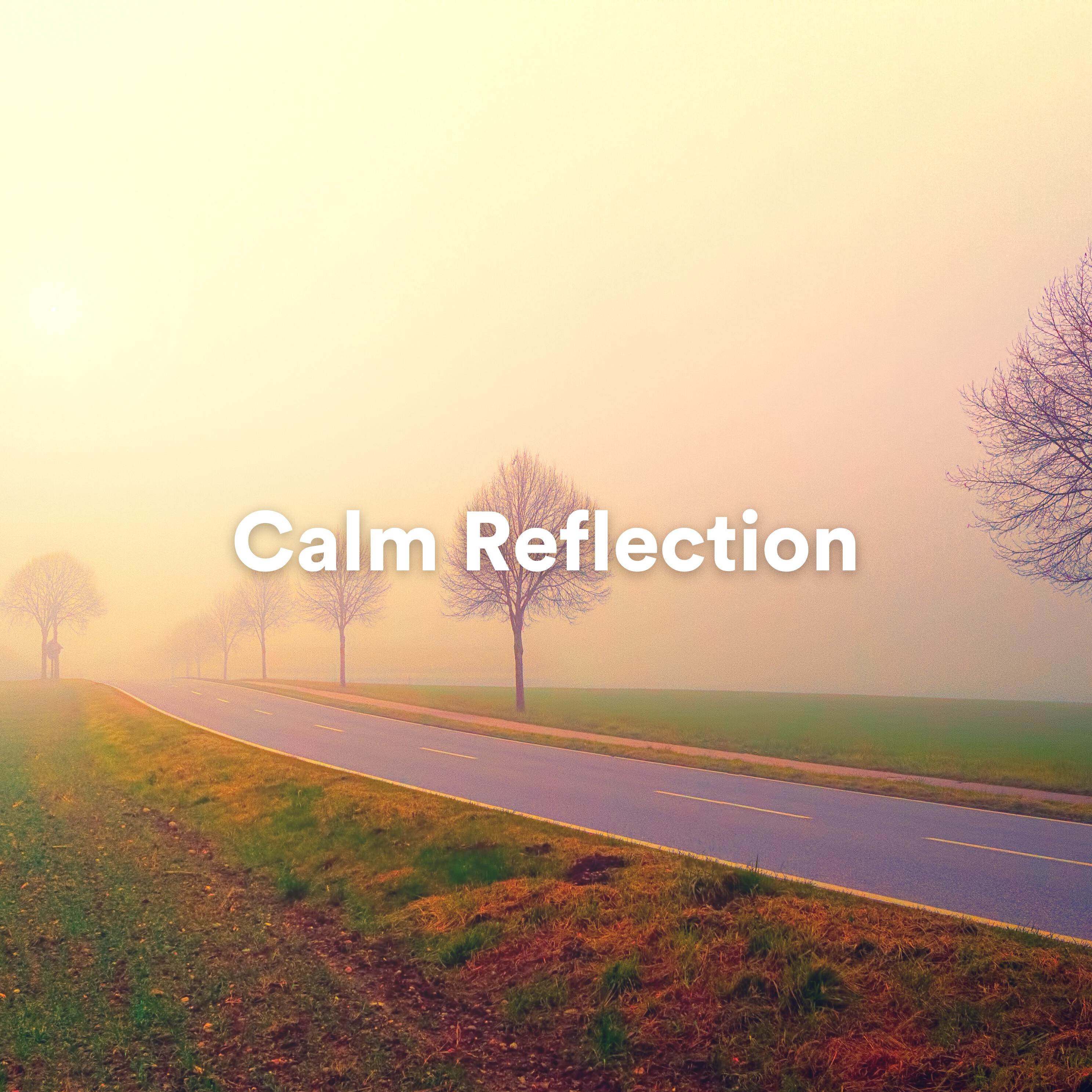Релиз Calm Reflection