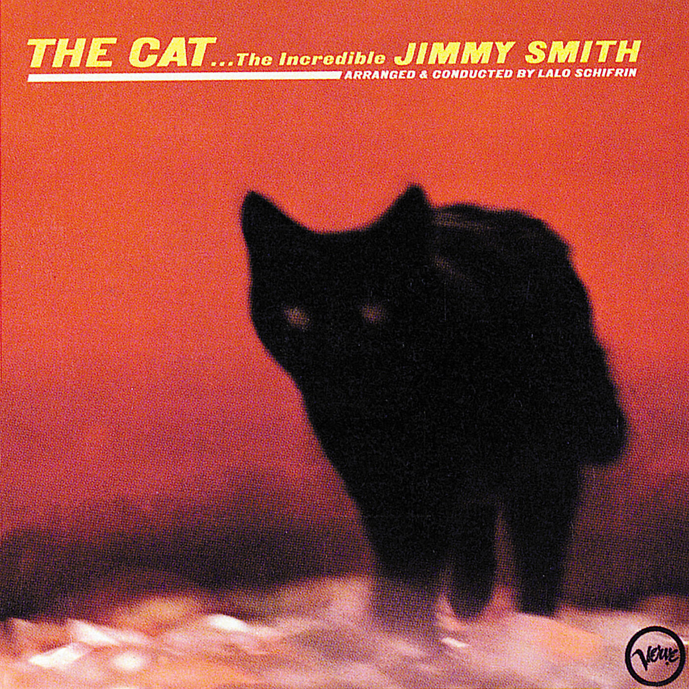 Релиз The Cat