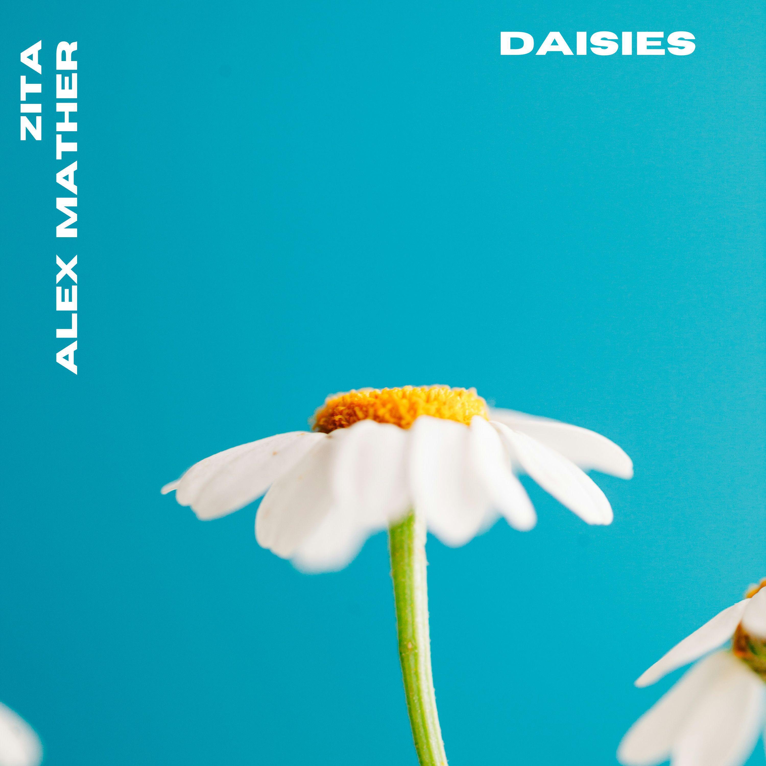 Релиз DAISIES