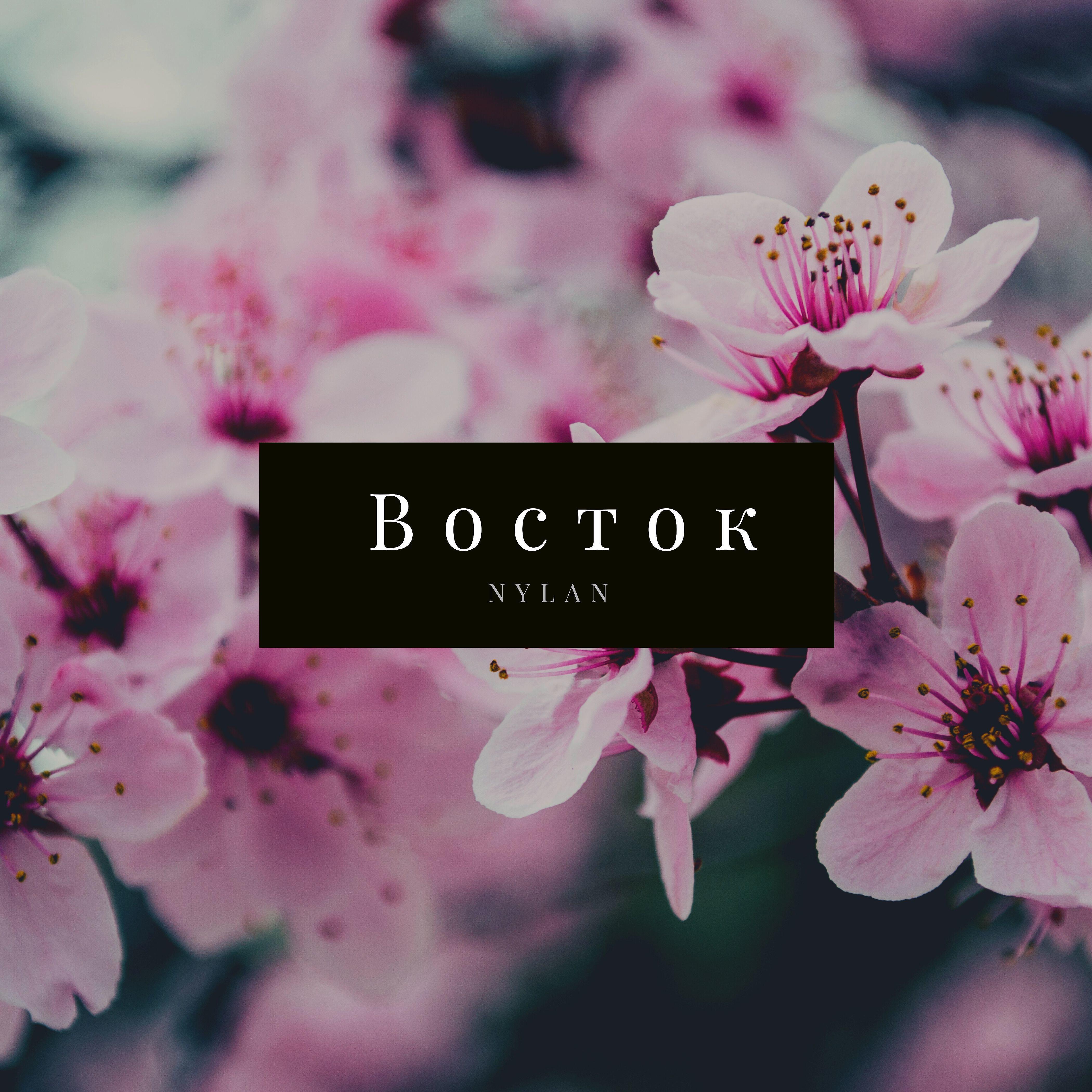 Релиз Восток