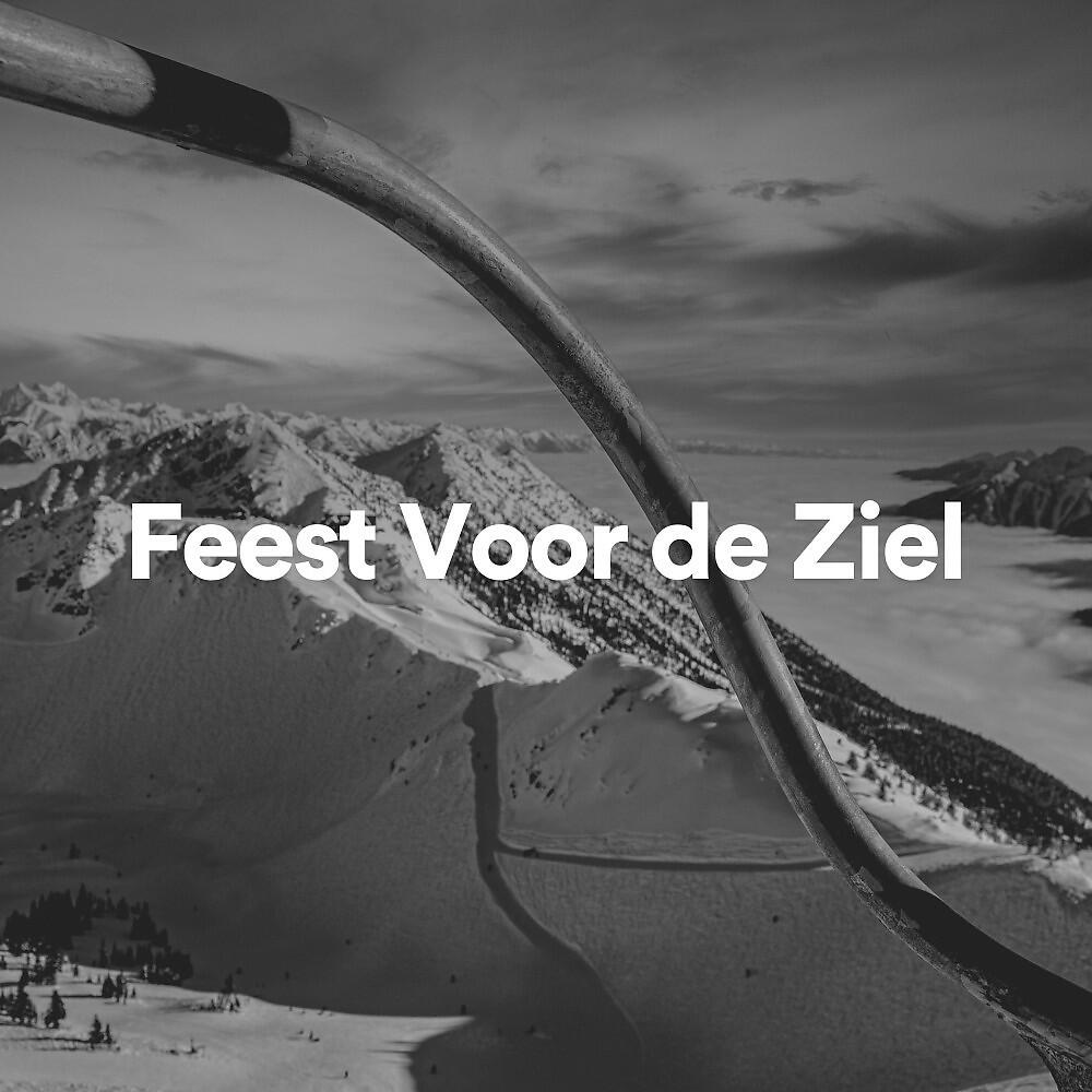 Релиз Feest Voor de Ziel
