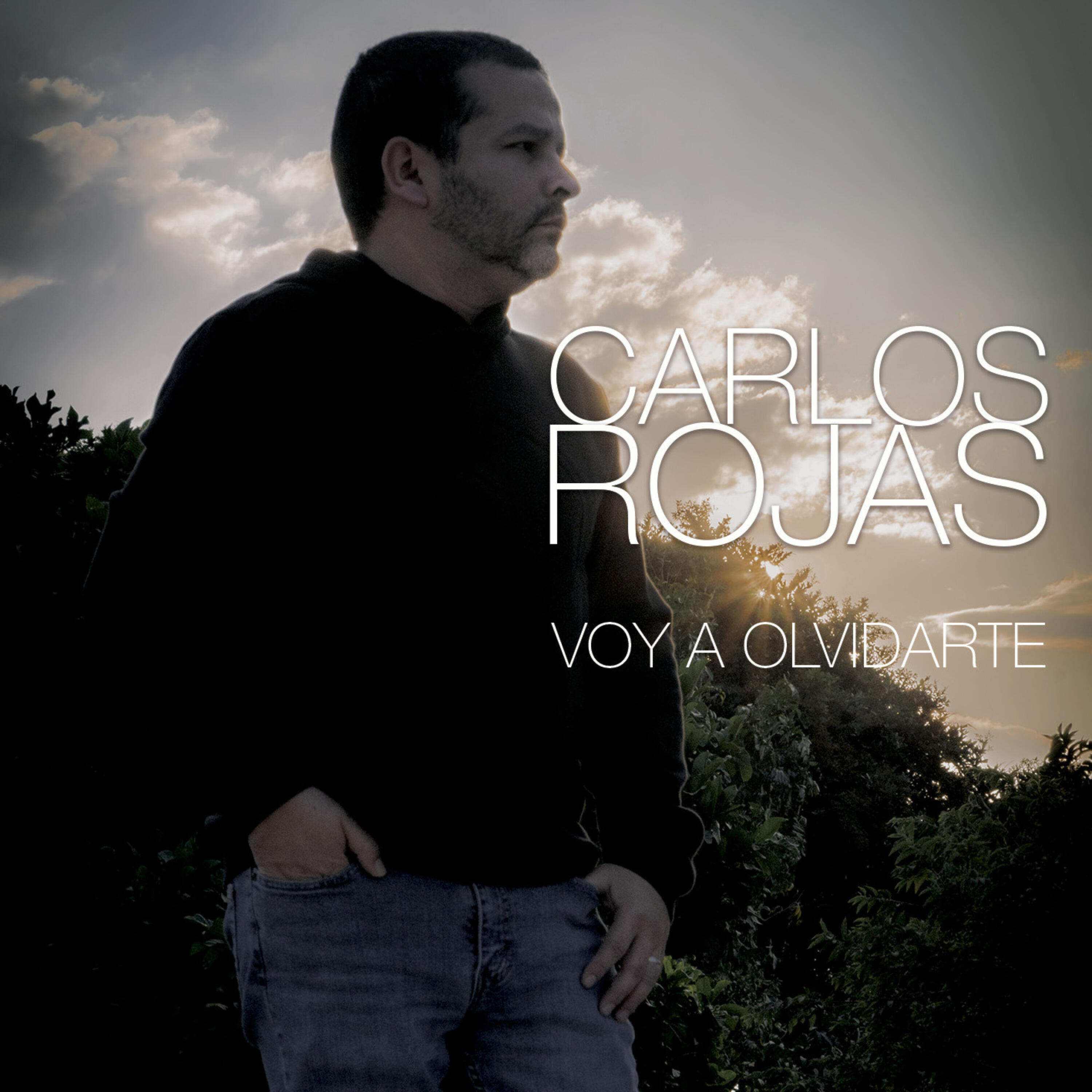Релиз Voy a Olvidarte