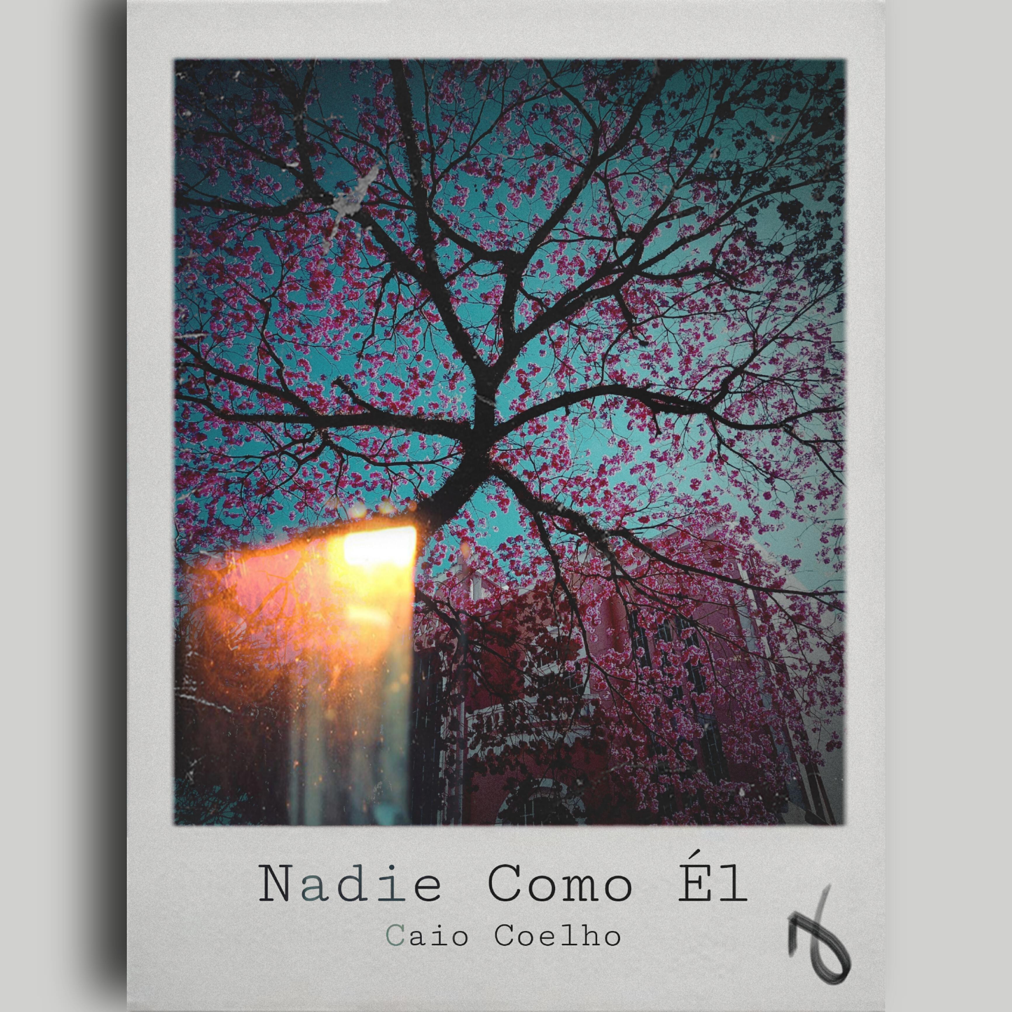 Релиз Nadie Como Él
