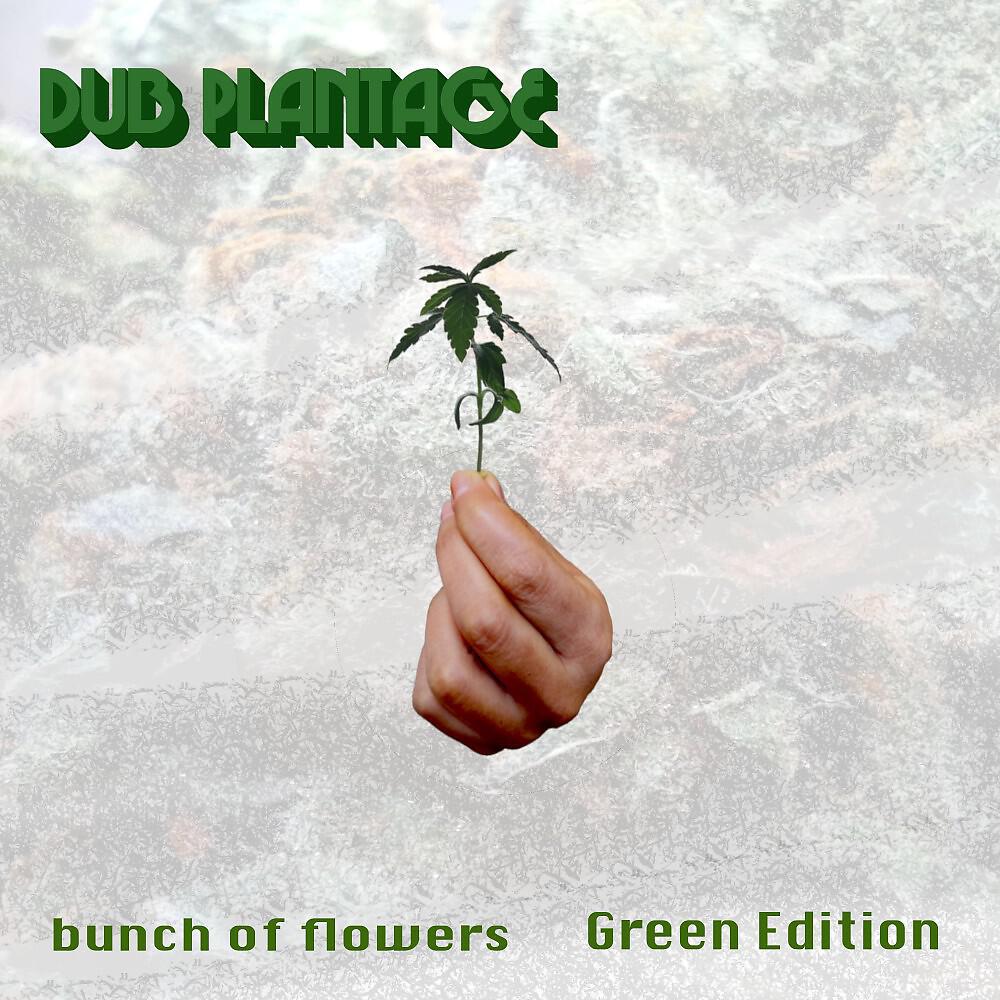 Релиз Bunch of Flowers (Green Edition)