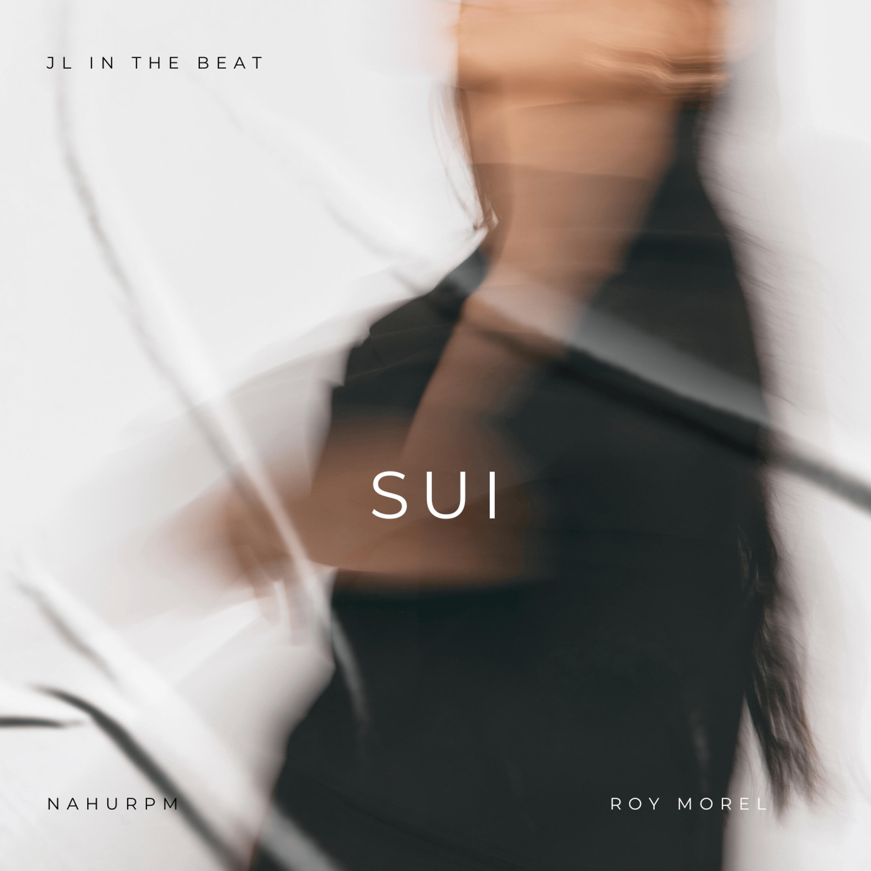 Релиз Sui