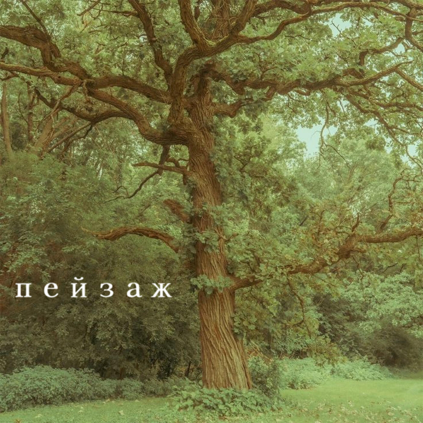 Постер альбома если я