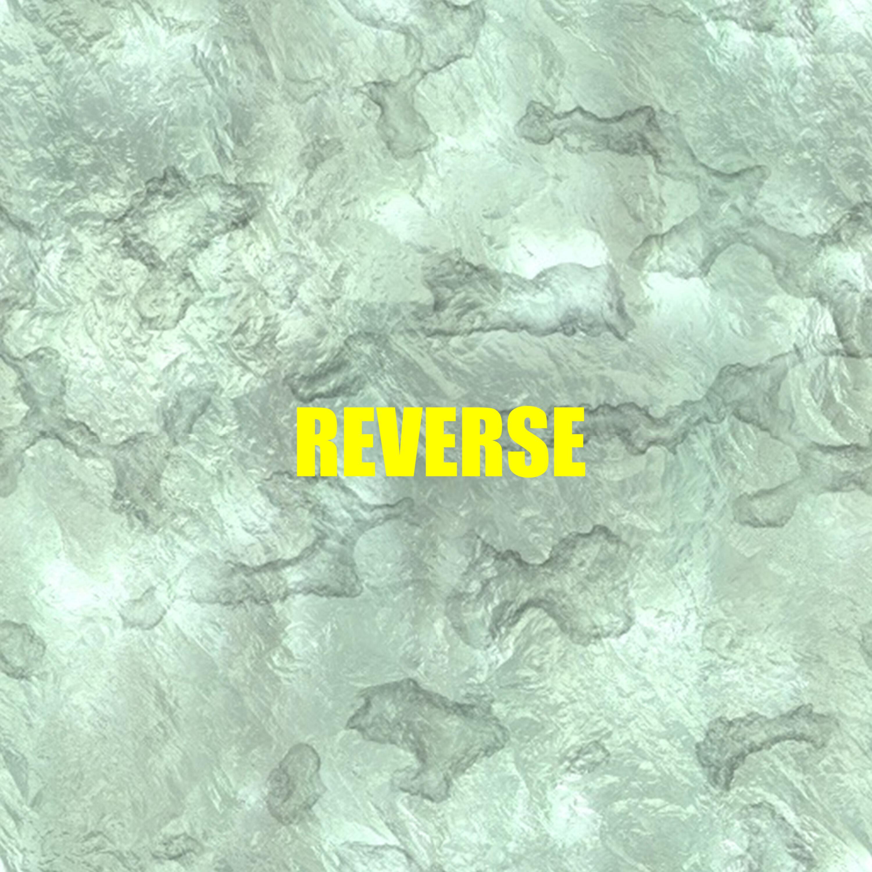 Релиз REVERSE